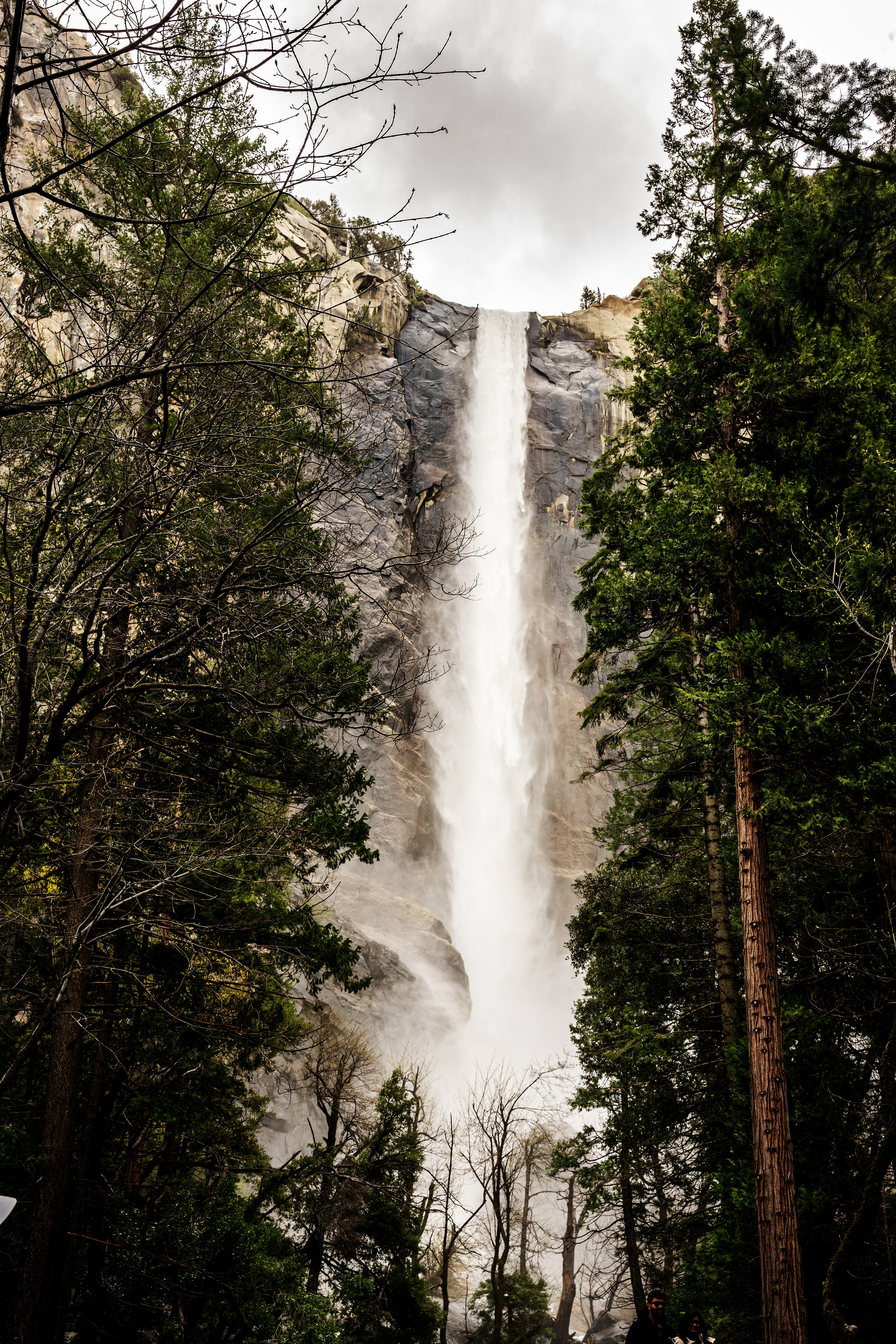 Parco nazionale di Yosemite