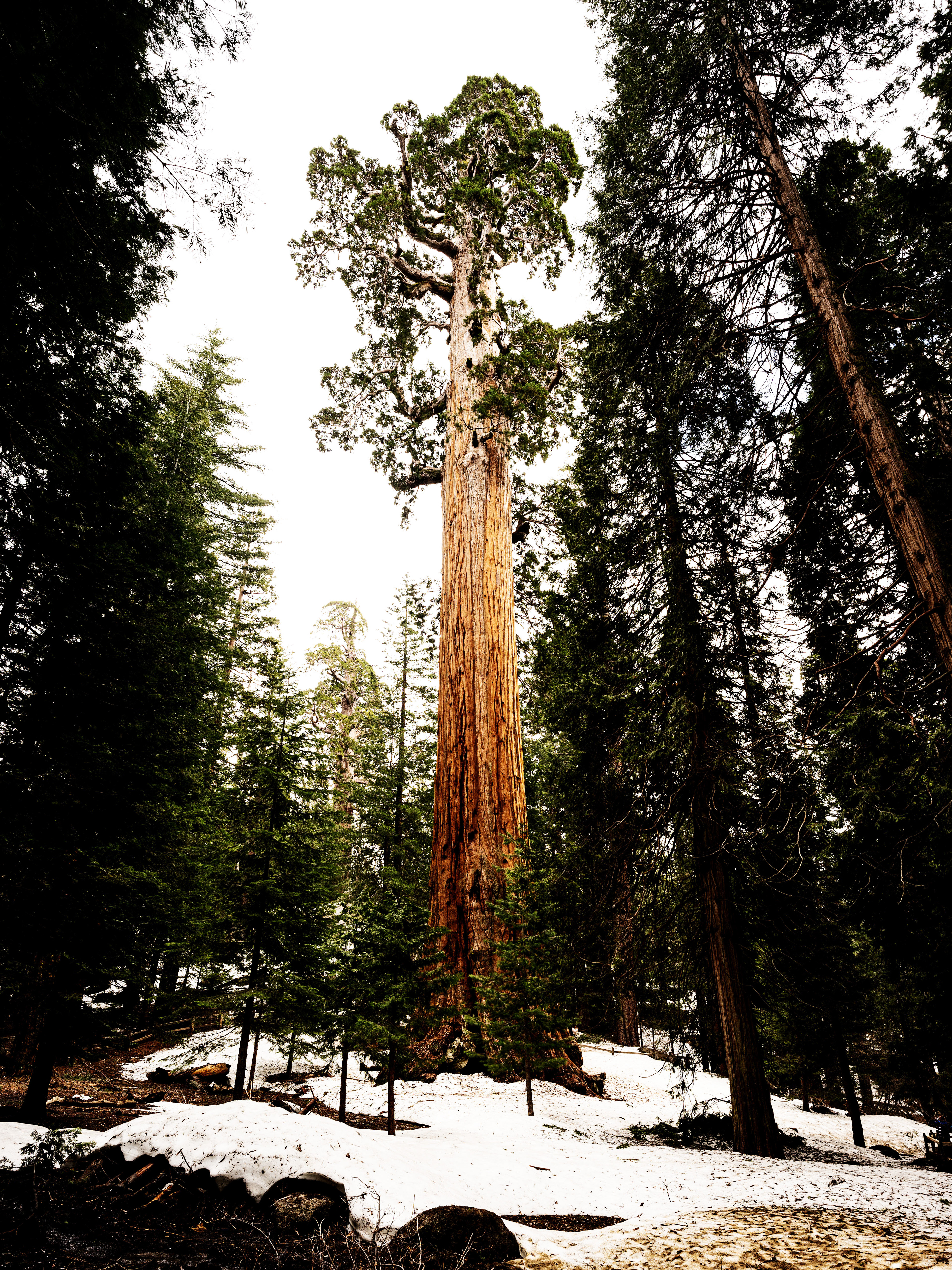 Parco nazionale di Kings Canyon