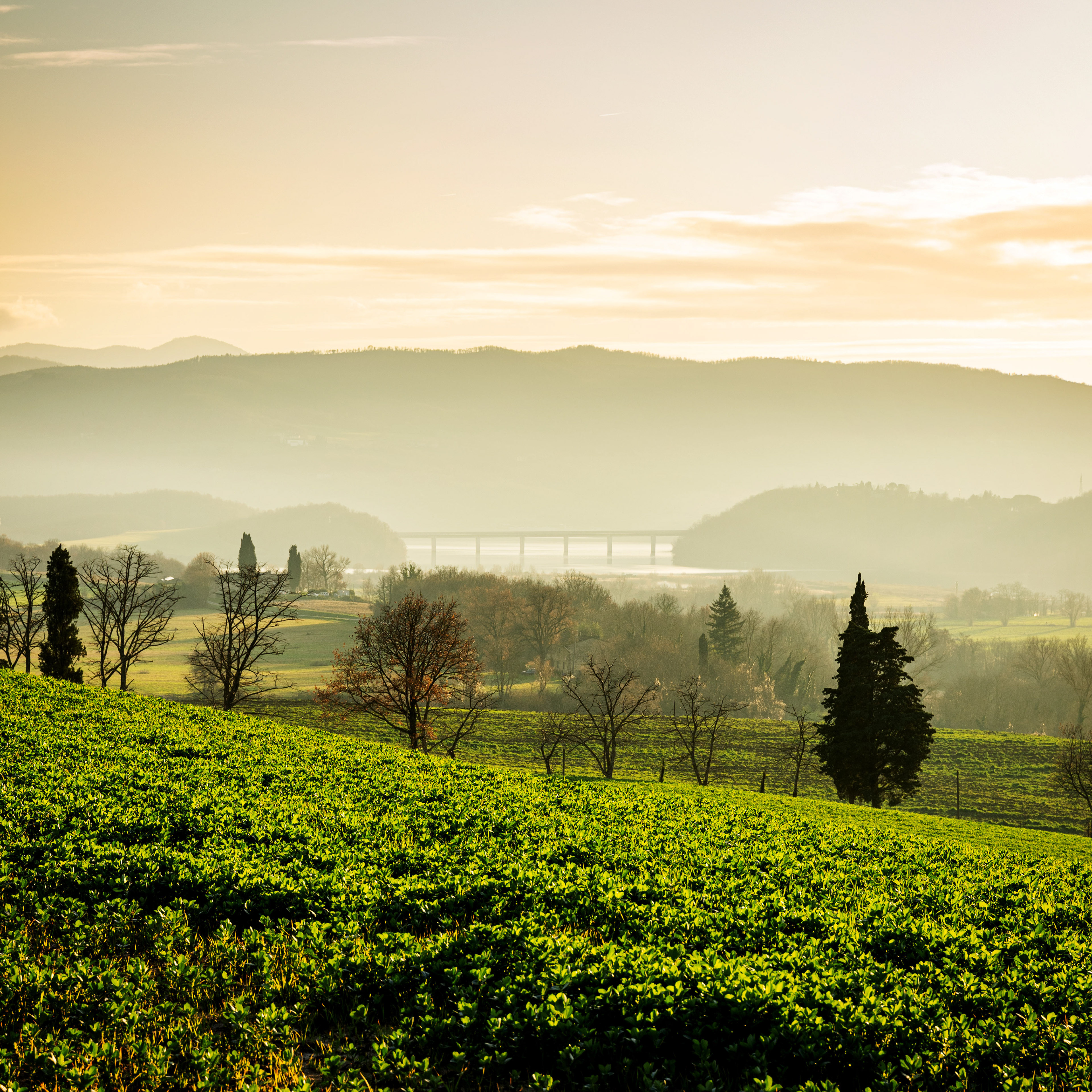 Mugello (lago di Bilancino)