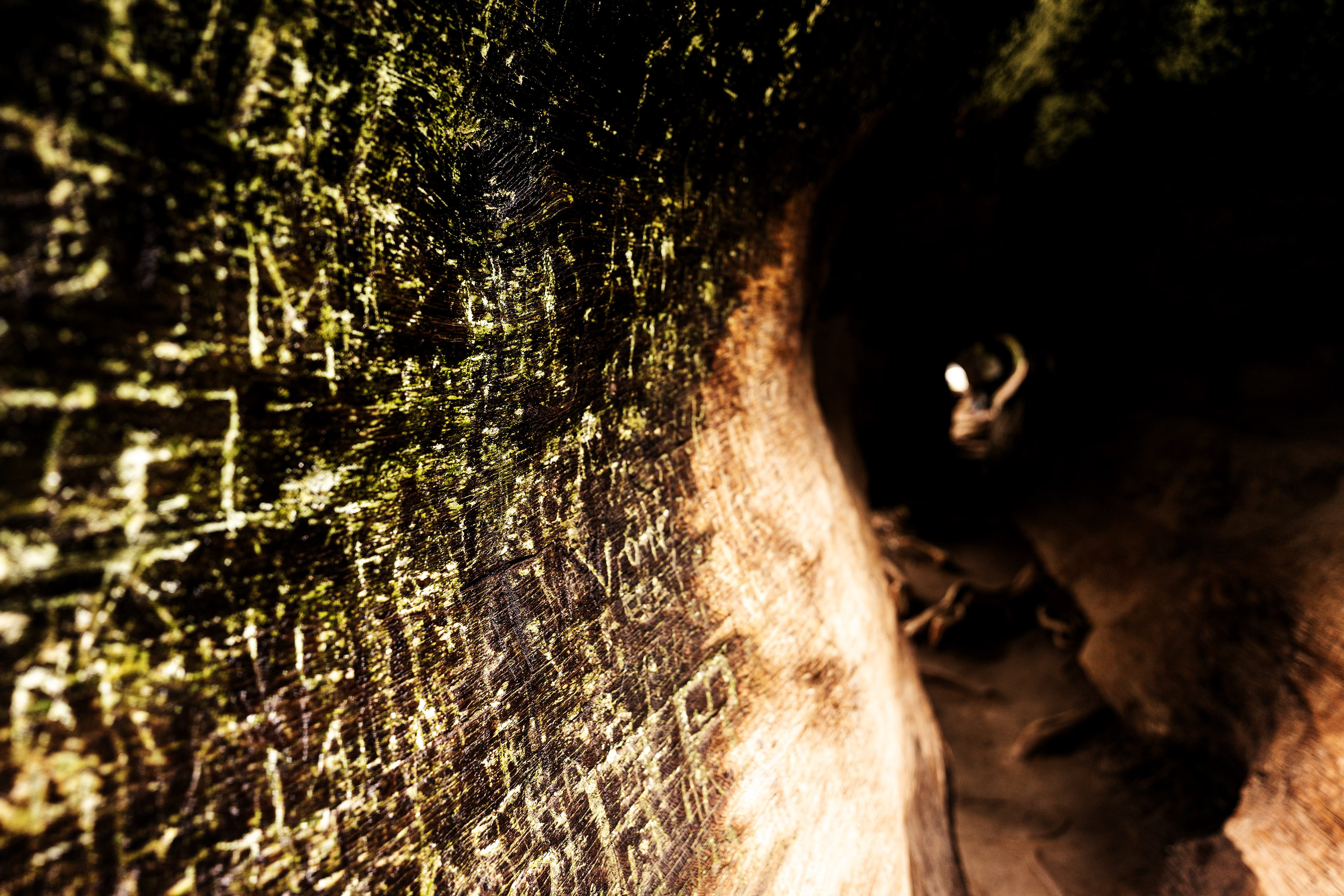 Parco nazionale di Kings Canyon