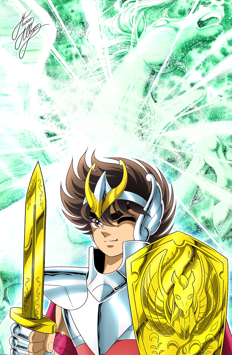 SAINT SEIYA SWORD SHIELD
