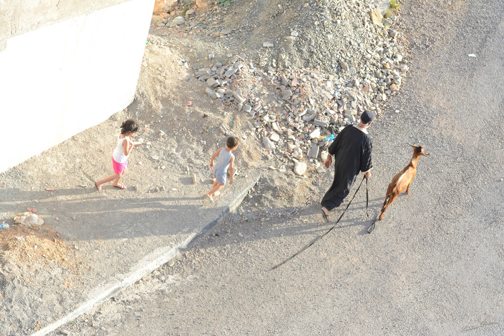 Début de jour joyeux