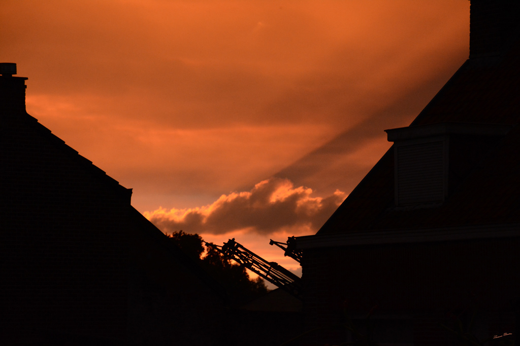 Contre-jour à Wattripont
