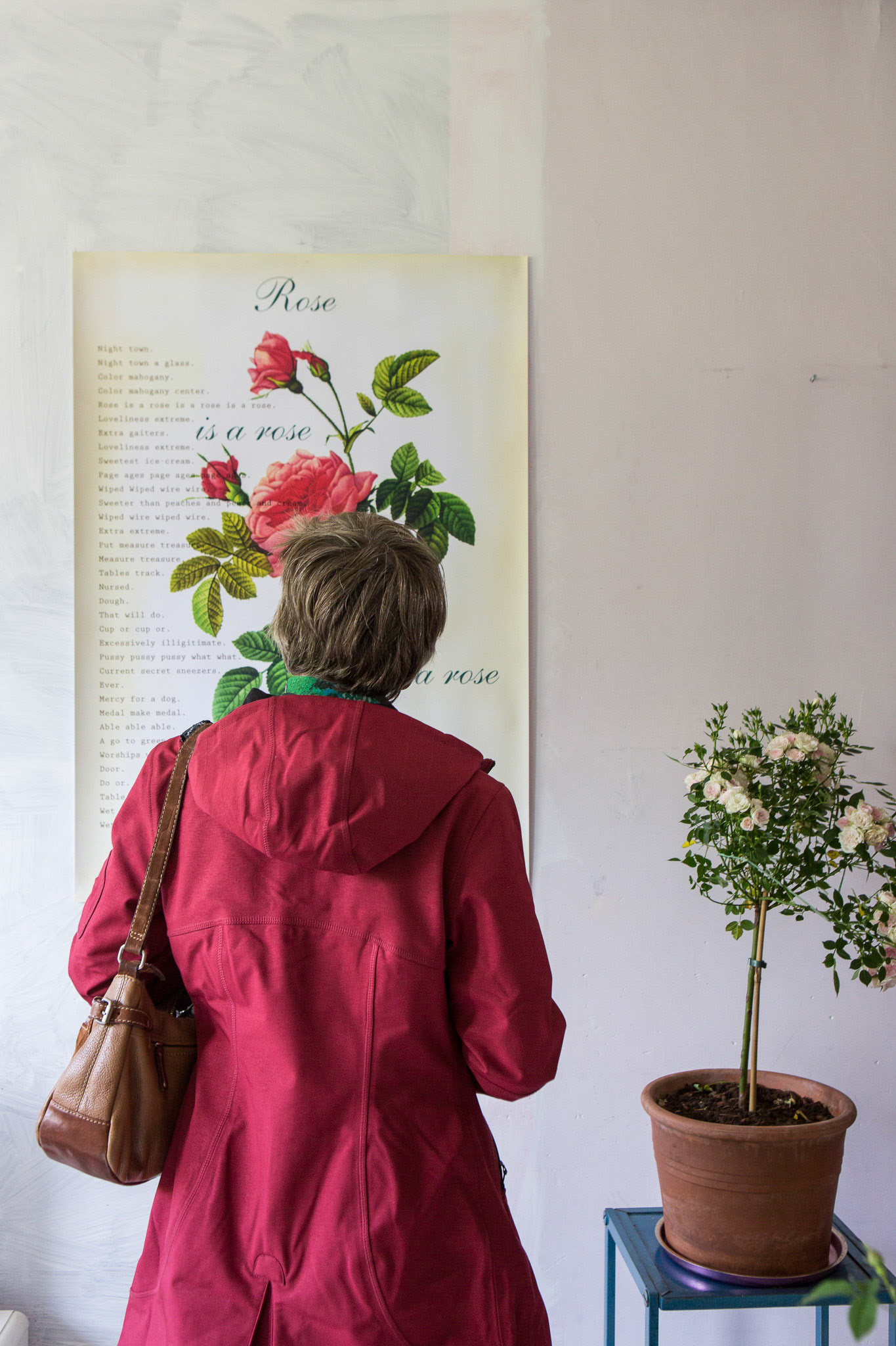 Museumstraat, Amsterdam, Hortus Botanicus, Foekje Detmar, Pretoriusstraat,