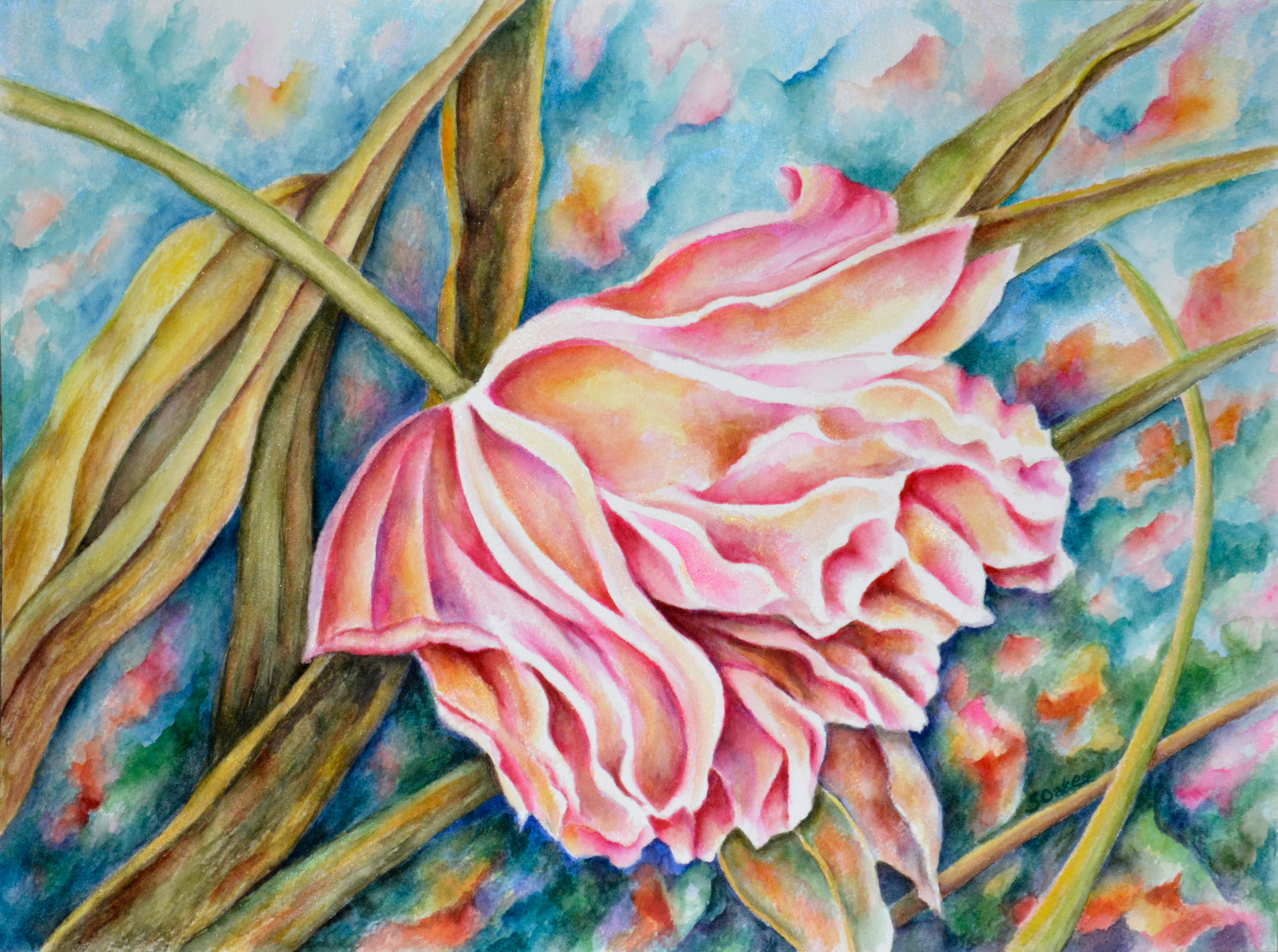 Fading Rose