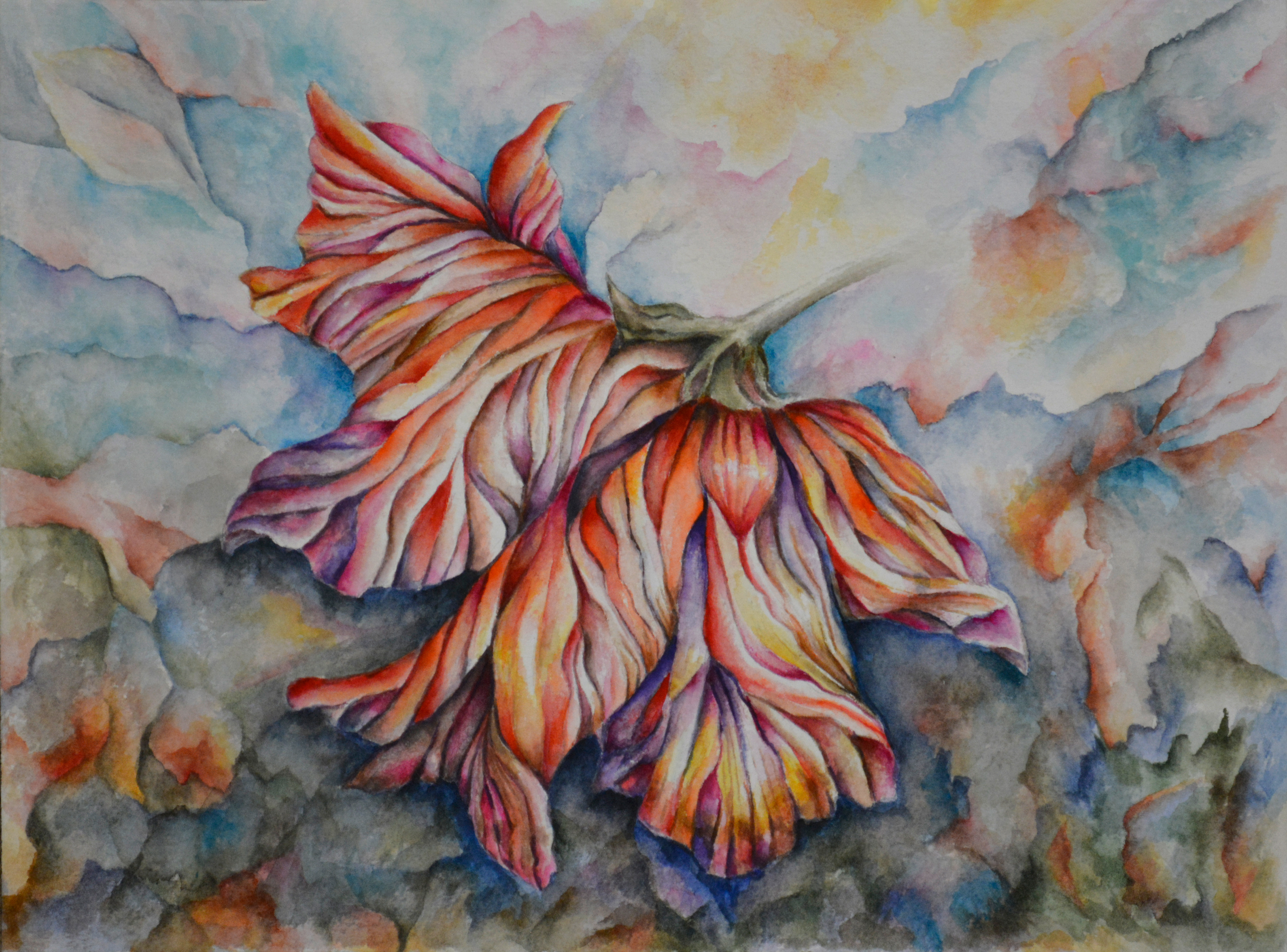 Hibiscus Abstract 2