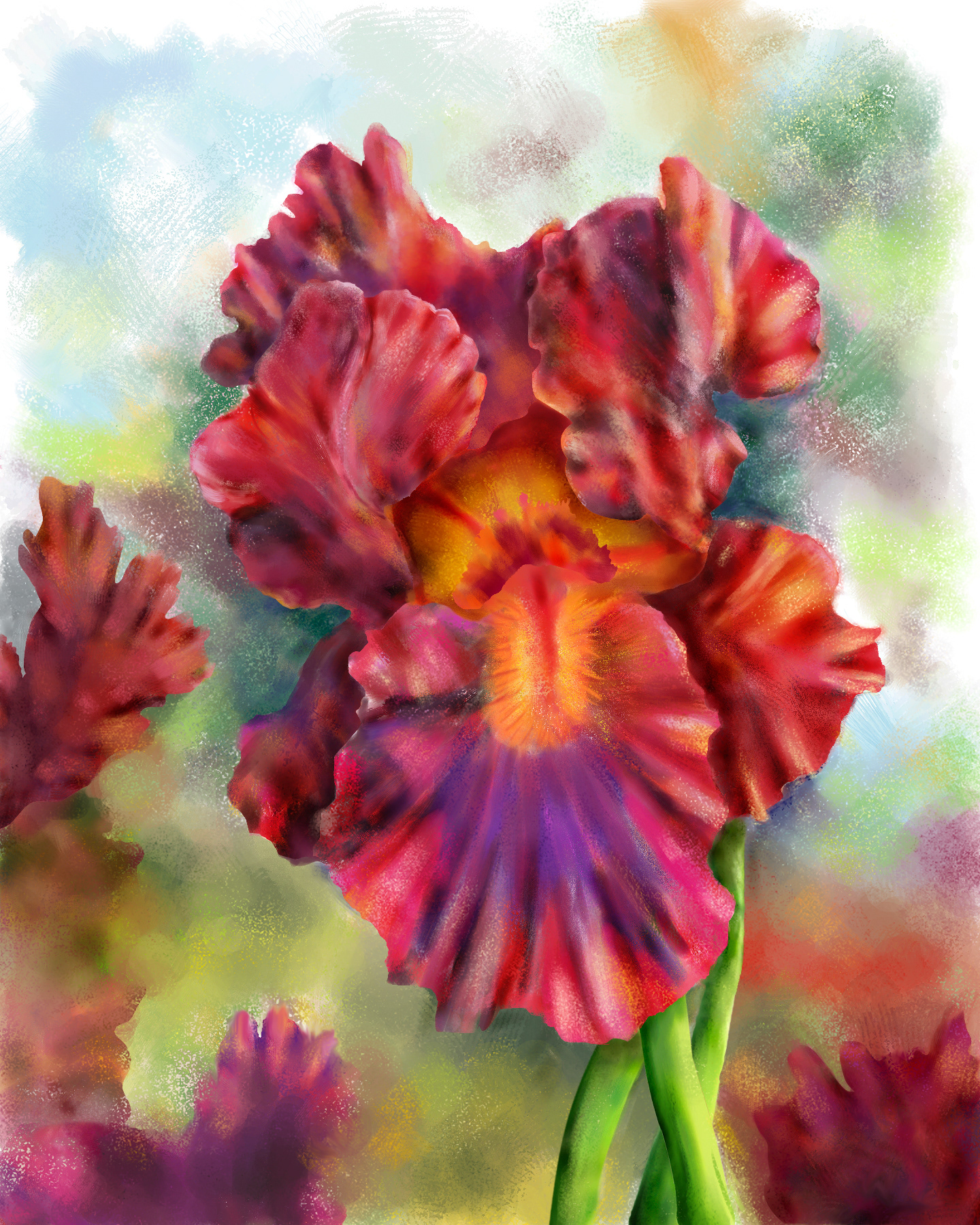 Spartan Iris
