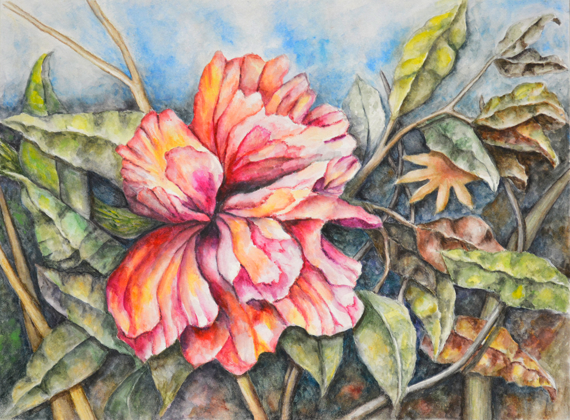 Hibiscus Abstract 1