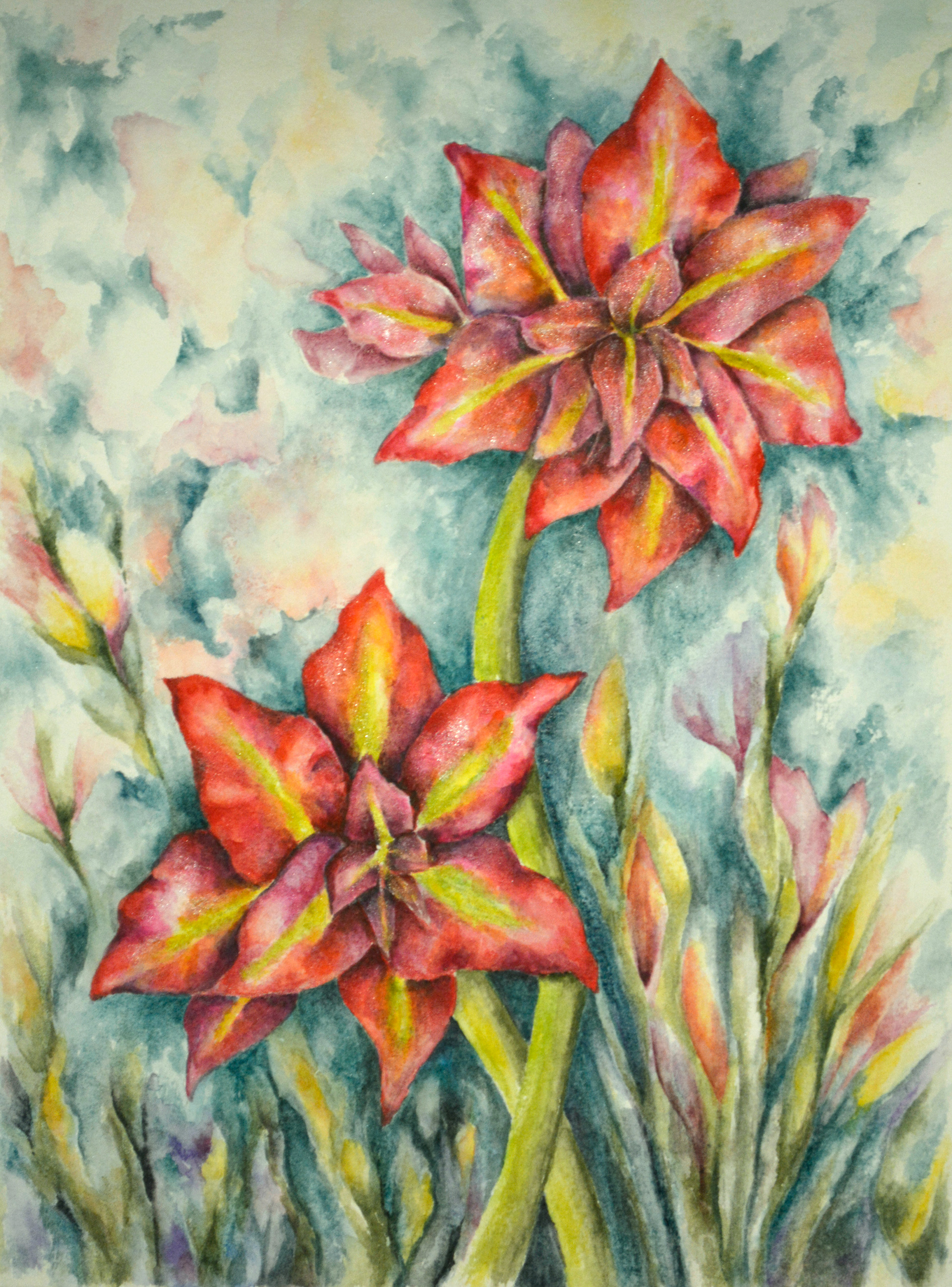 Amaryllis 3
