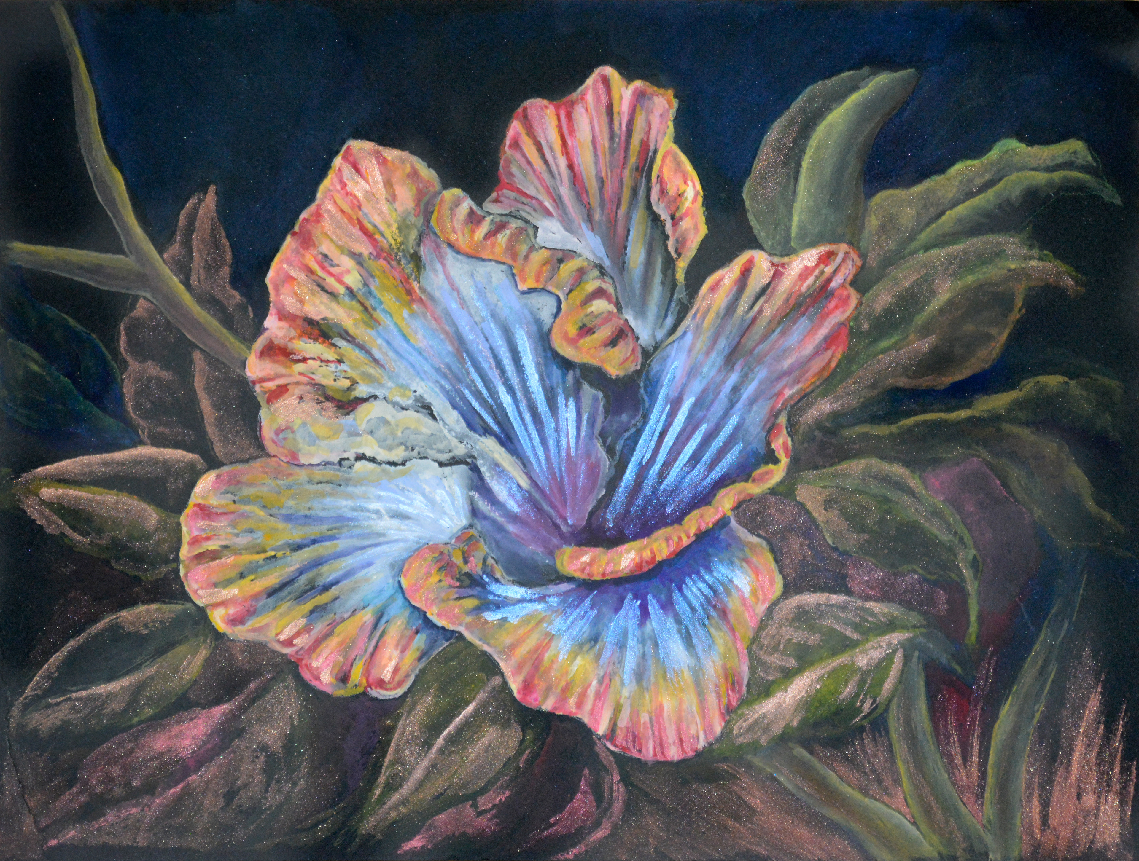 Dark Side Hibiscus