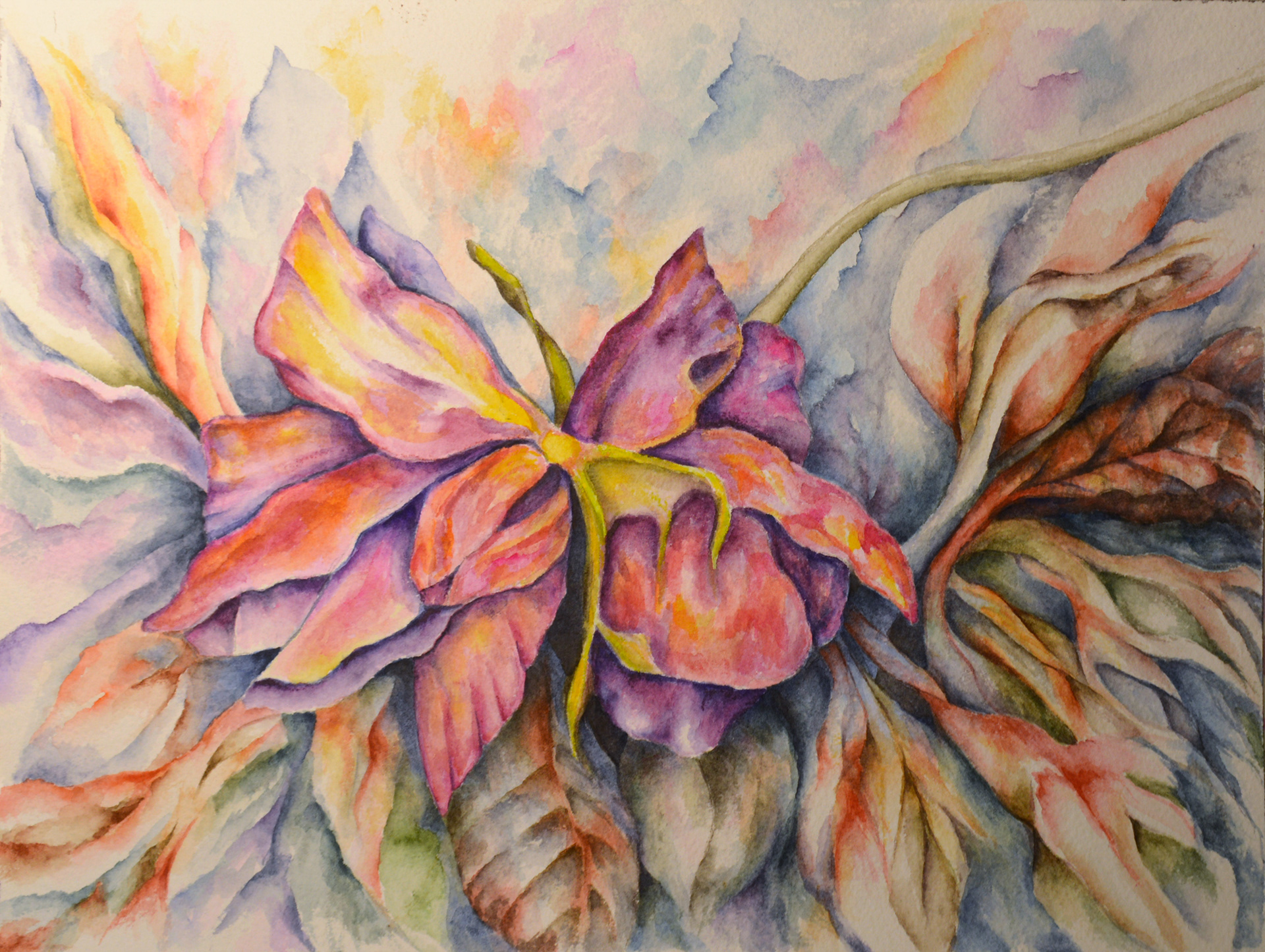 Pink Rose Abstract