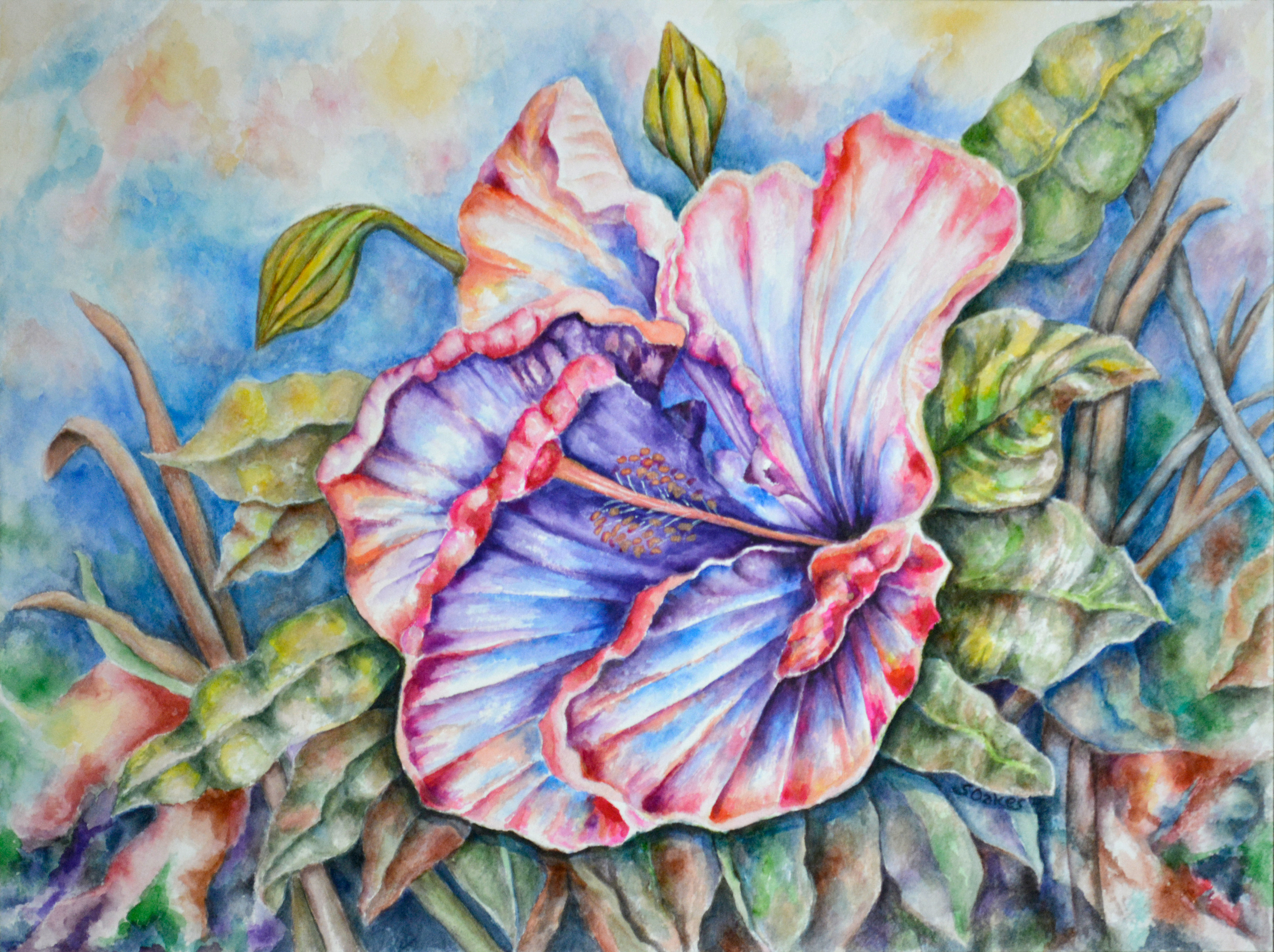Hibiscus Abstract 4
