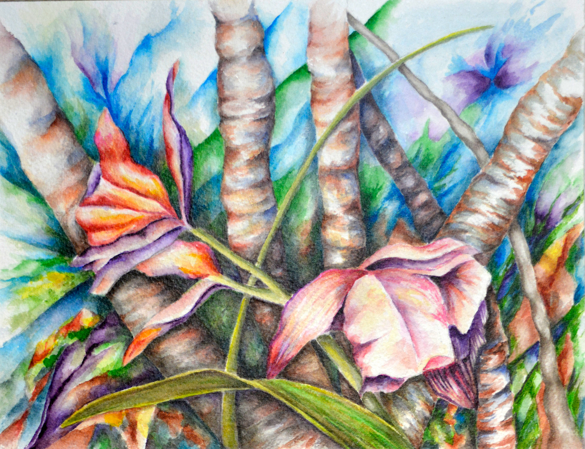 Woodland Fantasy