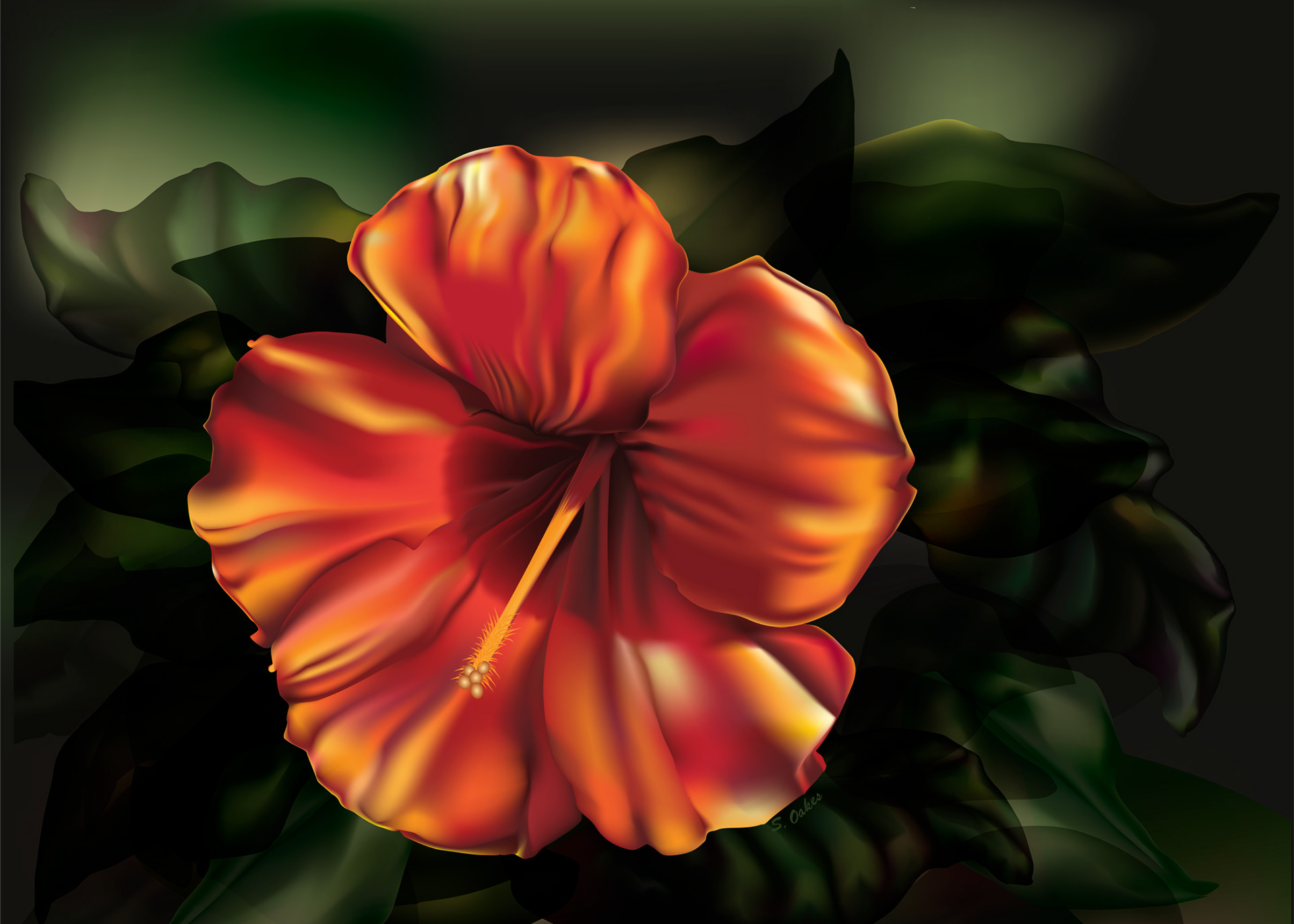 Orange Hibiscus