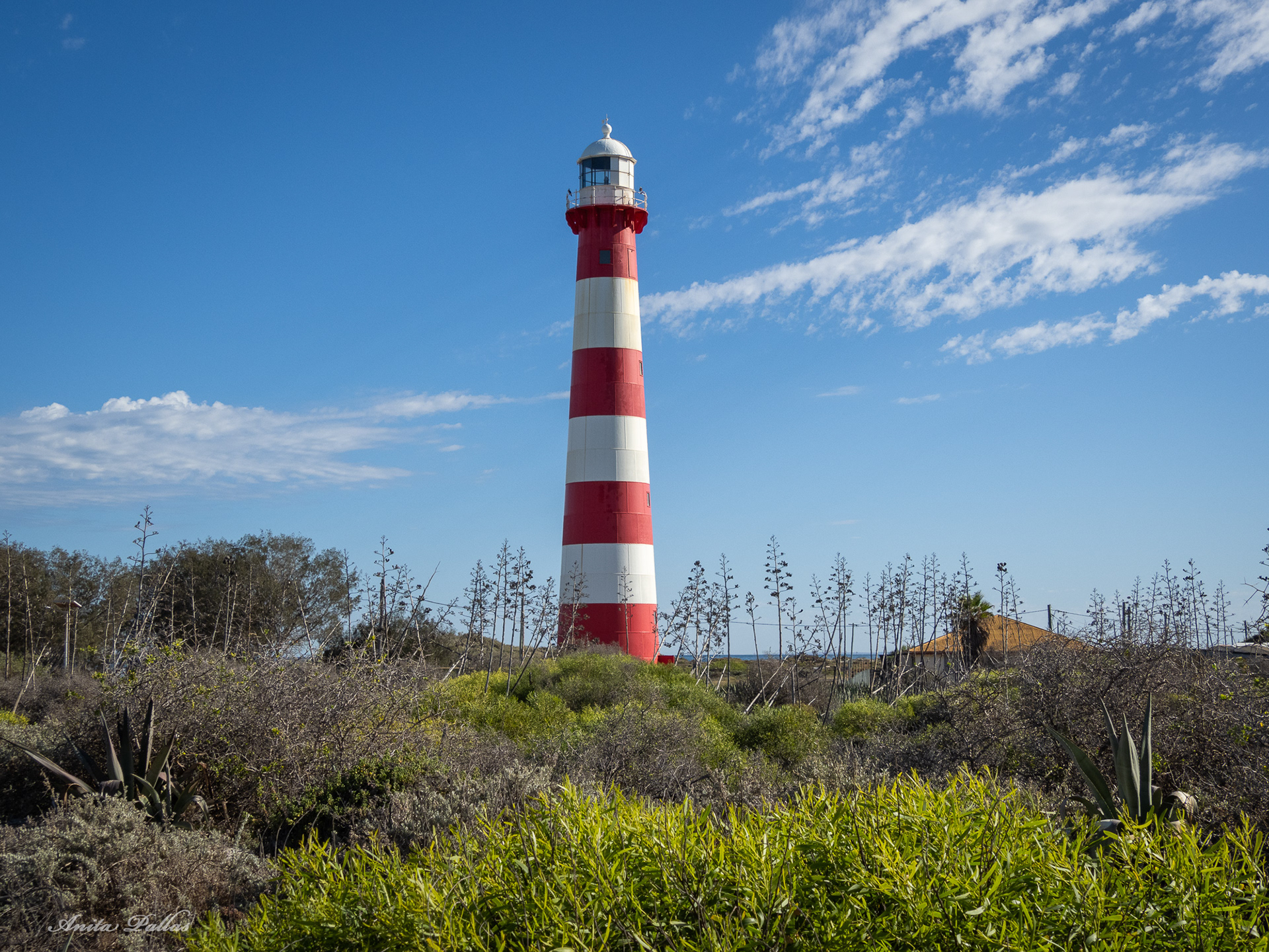 Point Moore, Geraldton