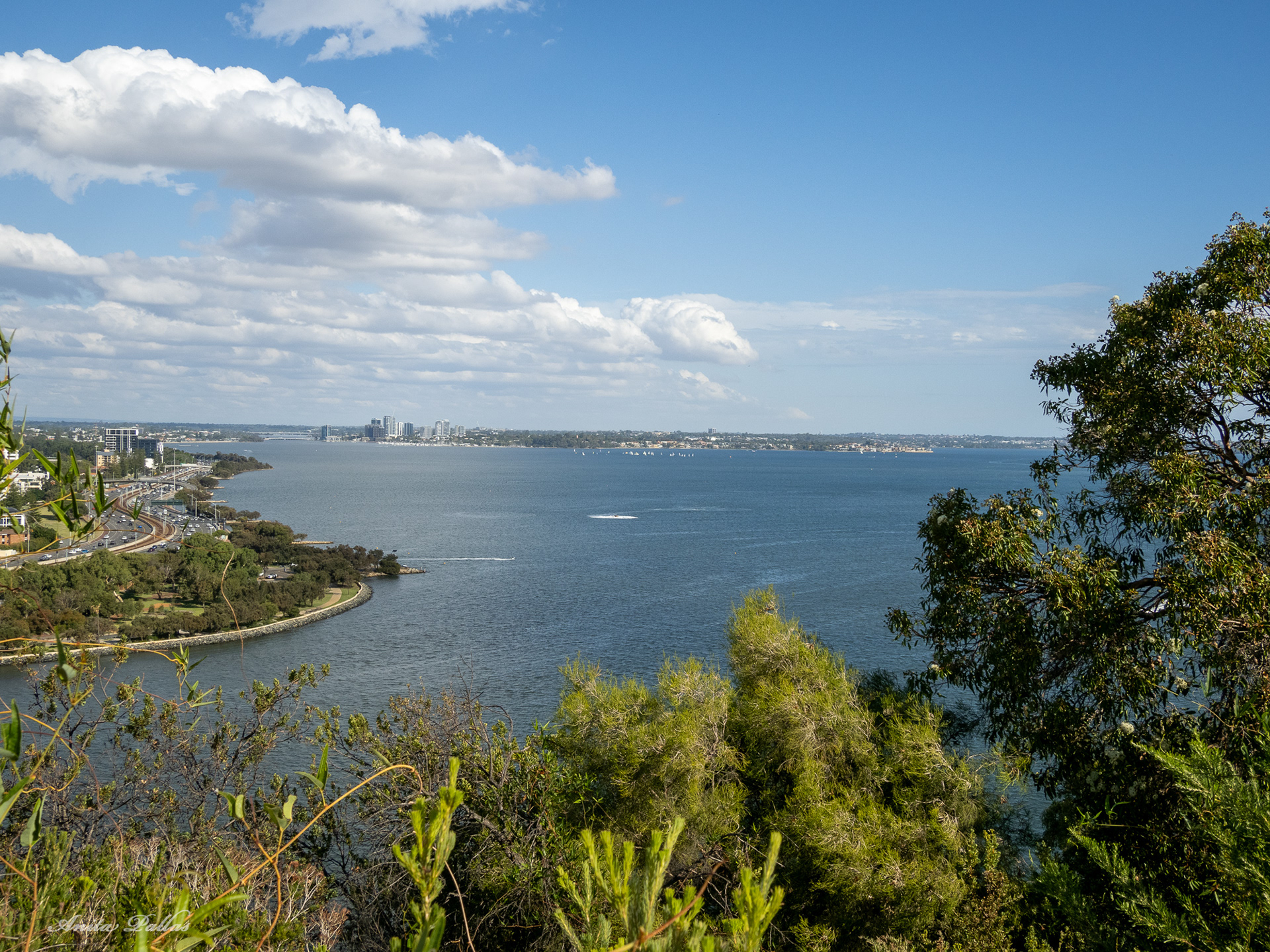 Perth - Kings Park & Botanic Gardens