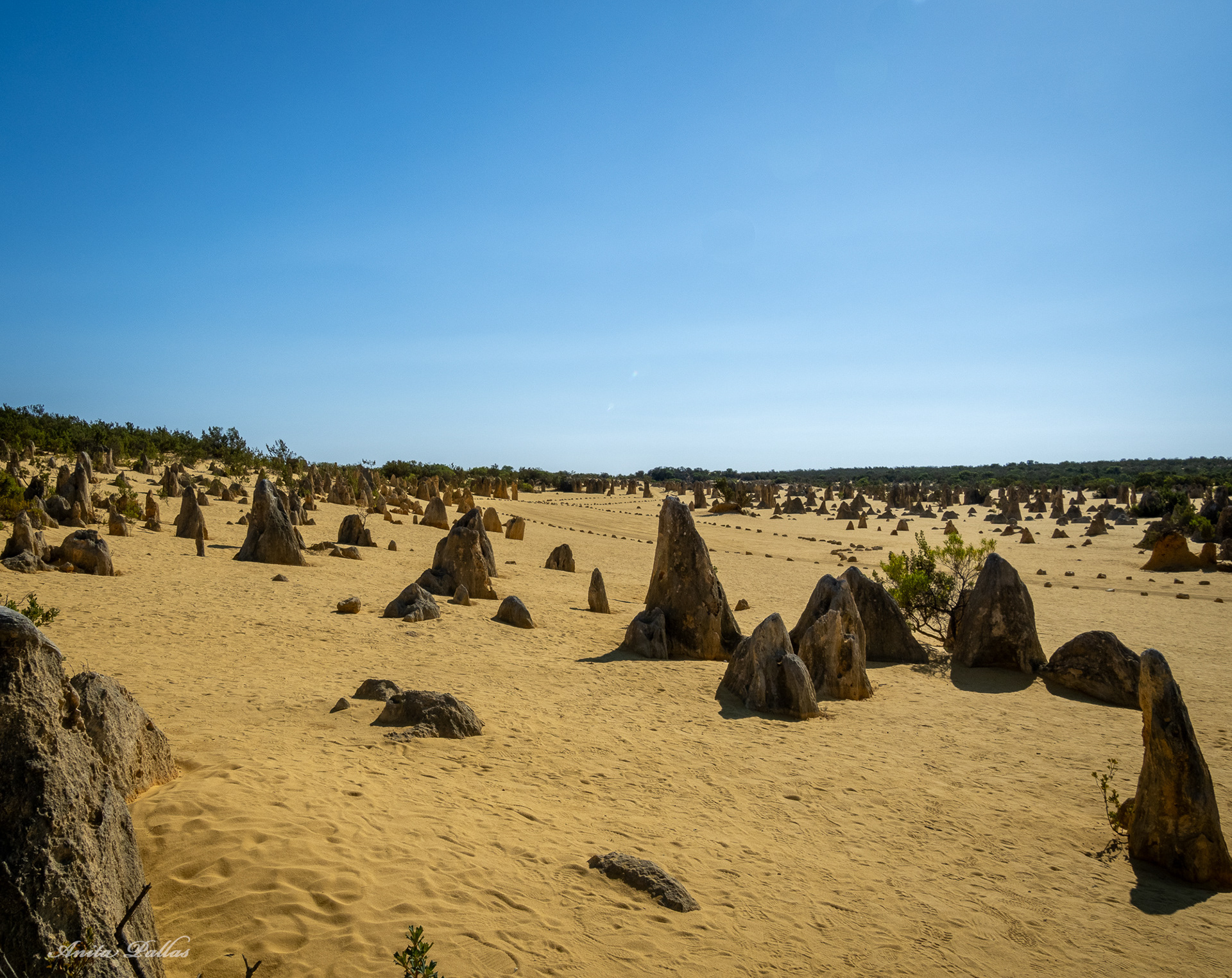 The Pinnacles