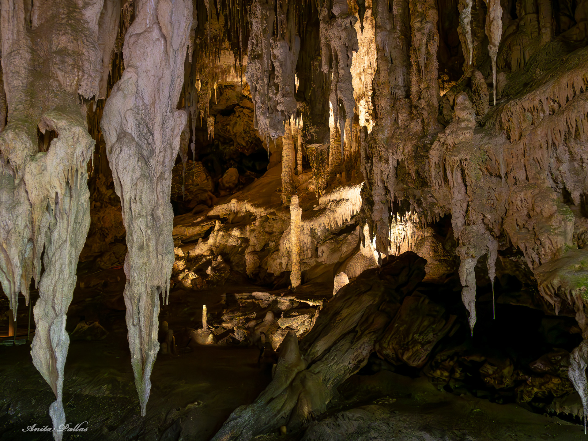 Mammoth Cave