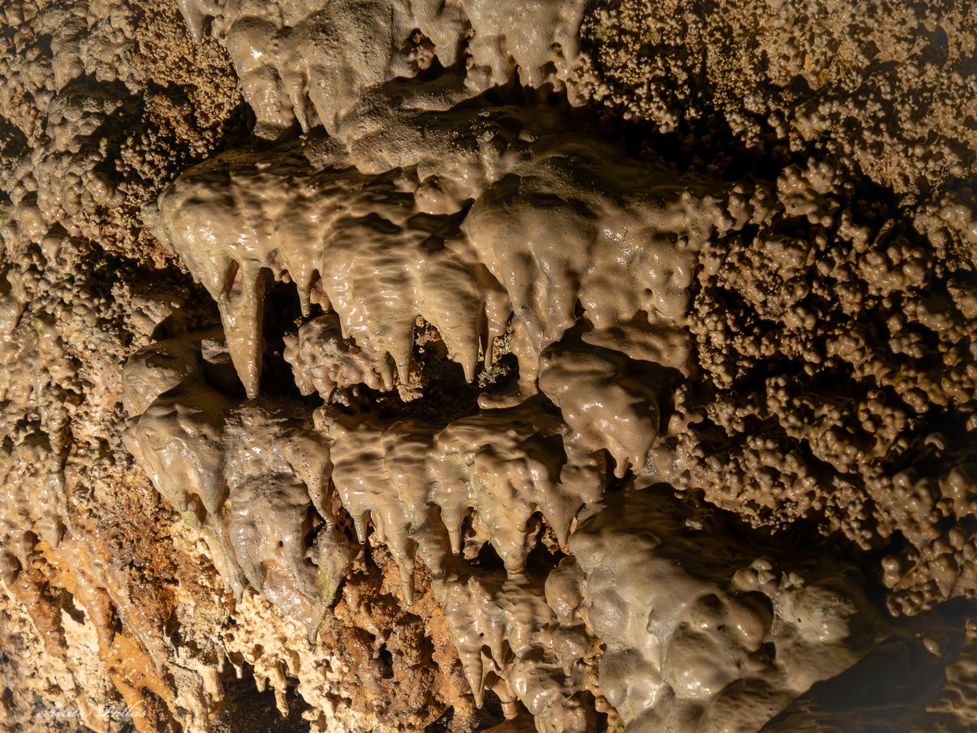 Mammoth Cave