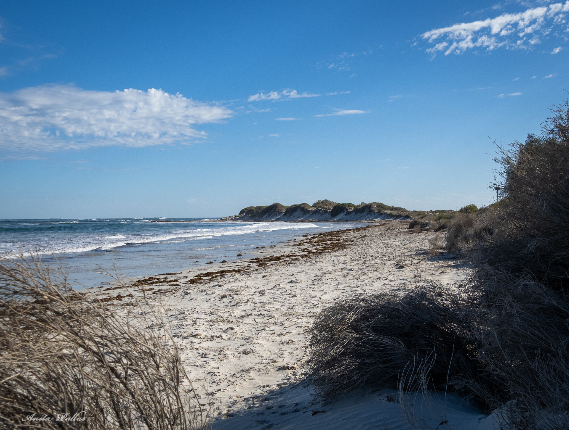 Point Moore, Geraldton