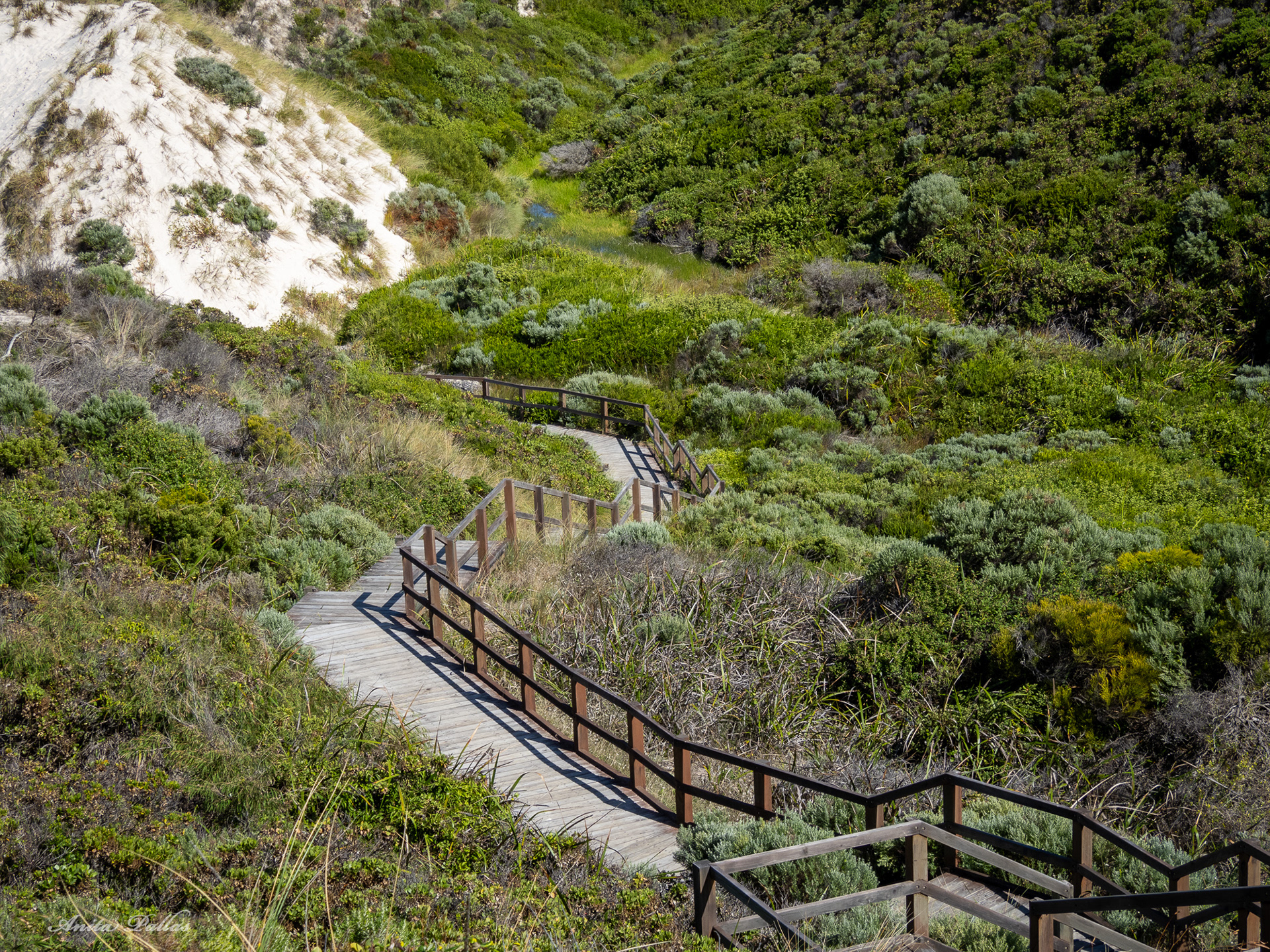 Conspicuous Cliffs