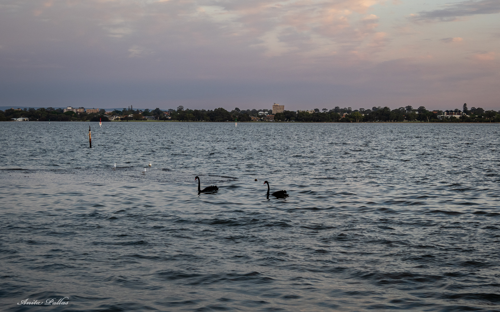 Perth