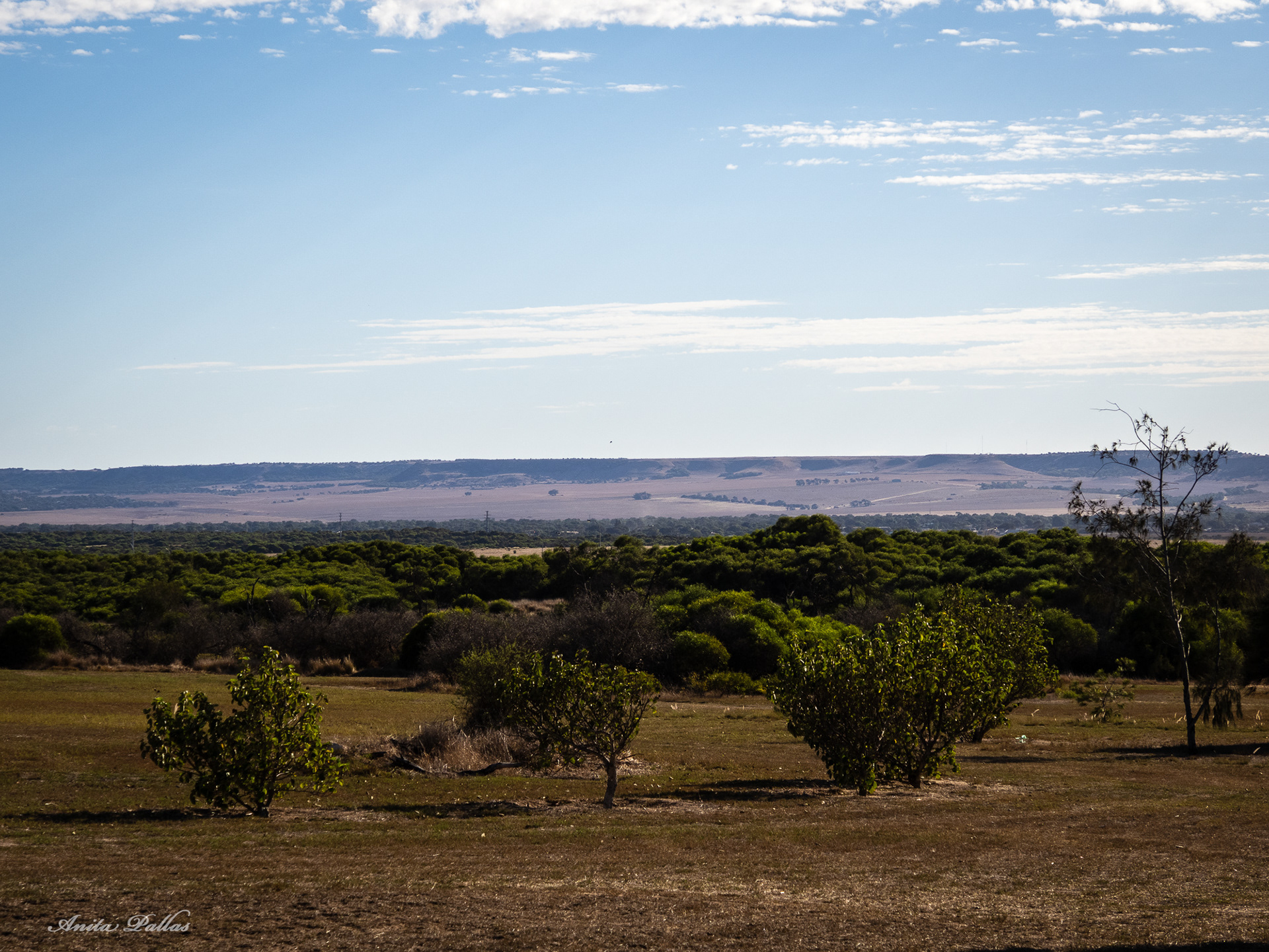 Geraldton