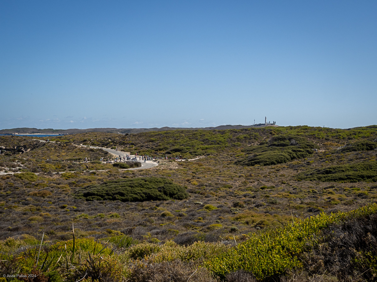 Rottnest Island