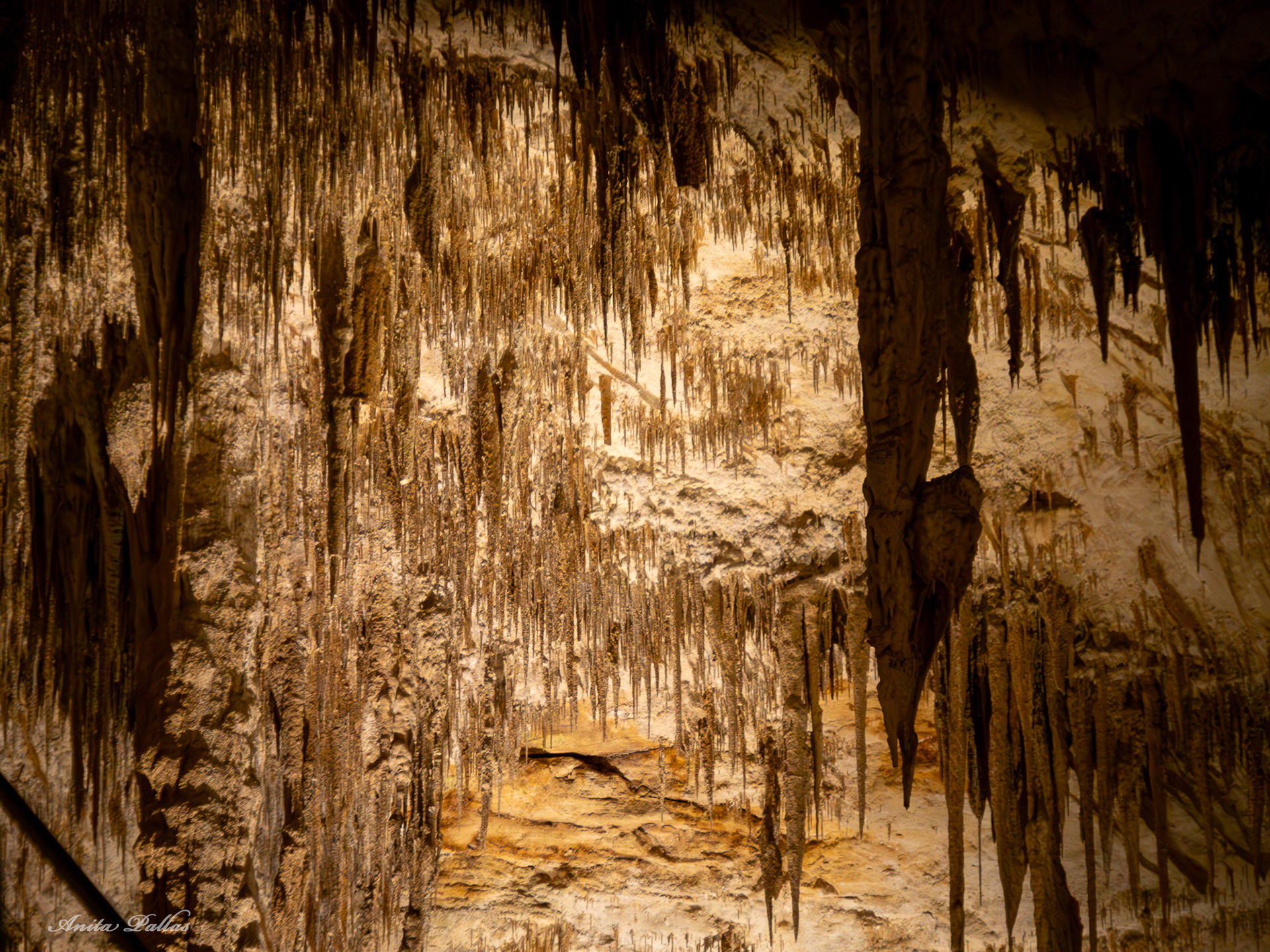 Mammoth Cave