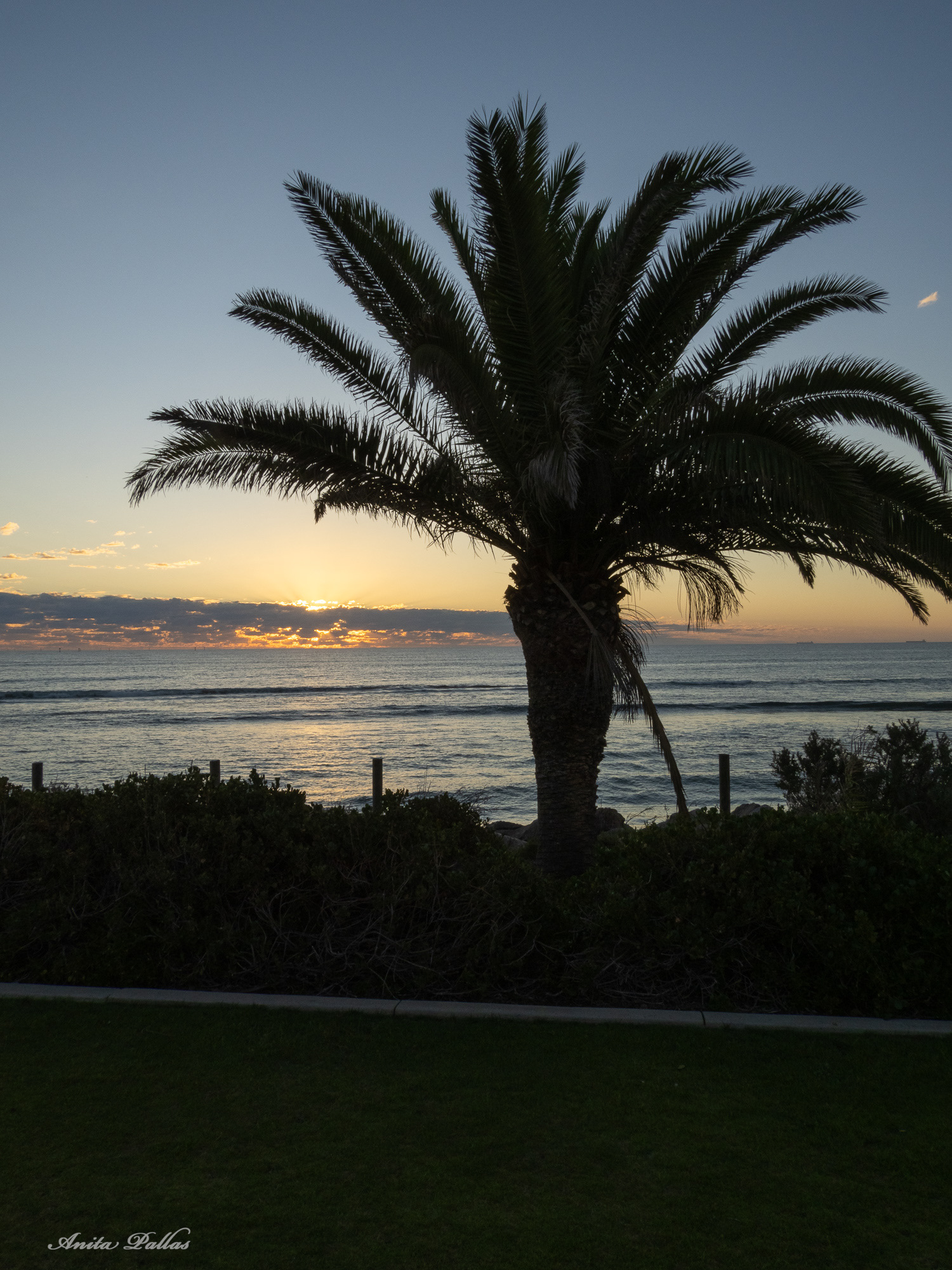 The Horizon Ball, Geraldton