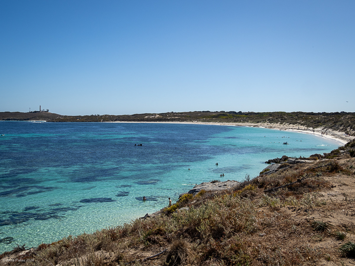Rottnest Island