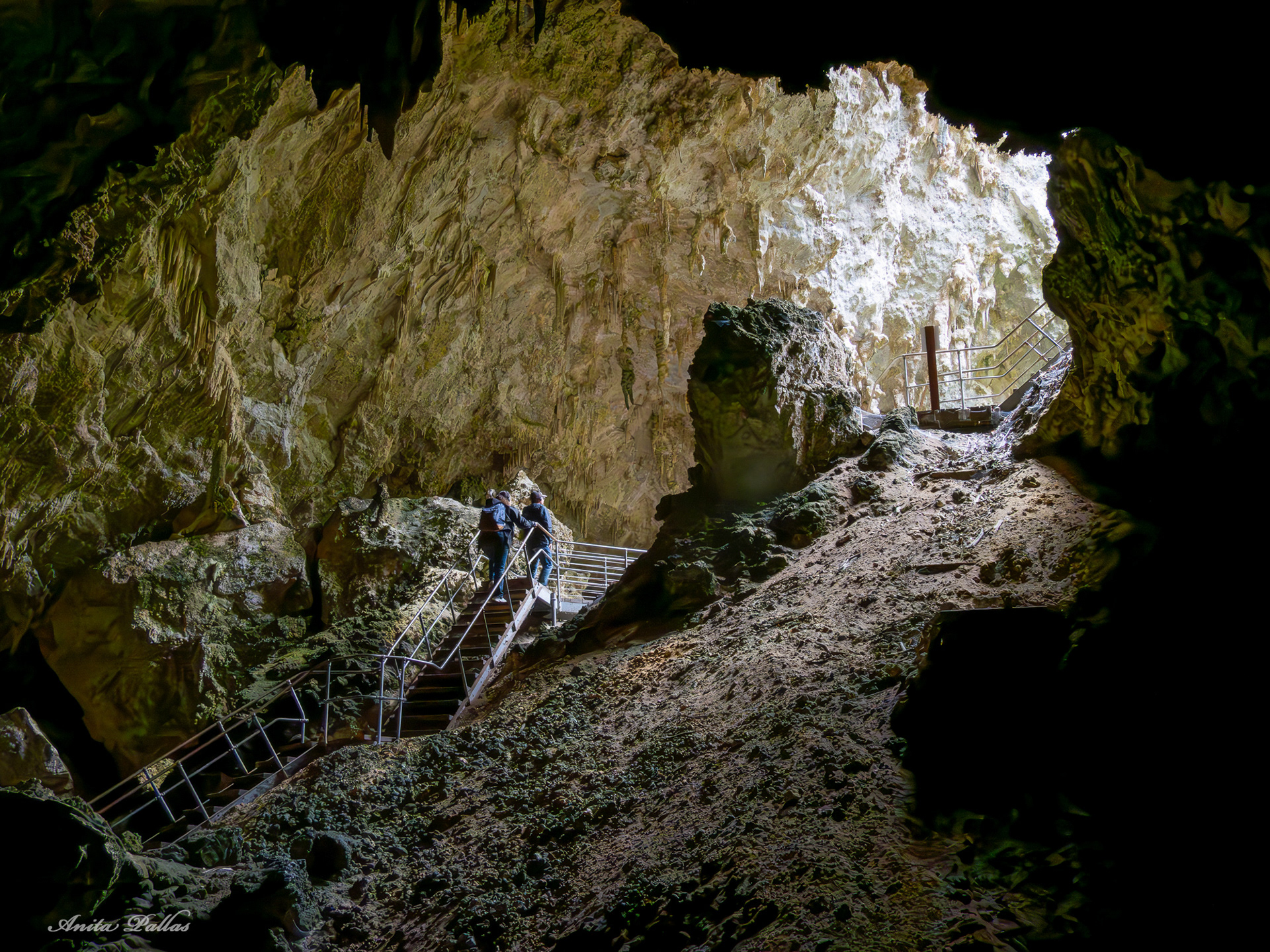 Mammoth Cave