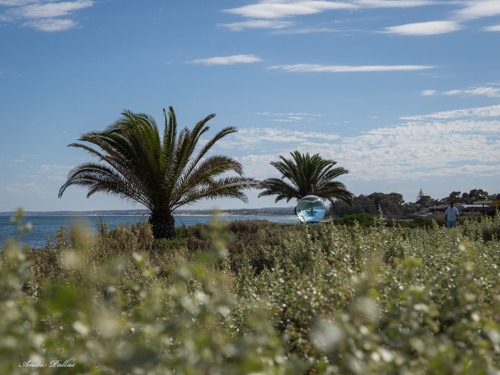 The Horizon Ball, Geraldton