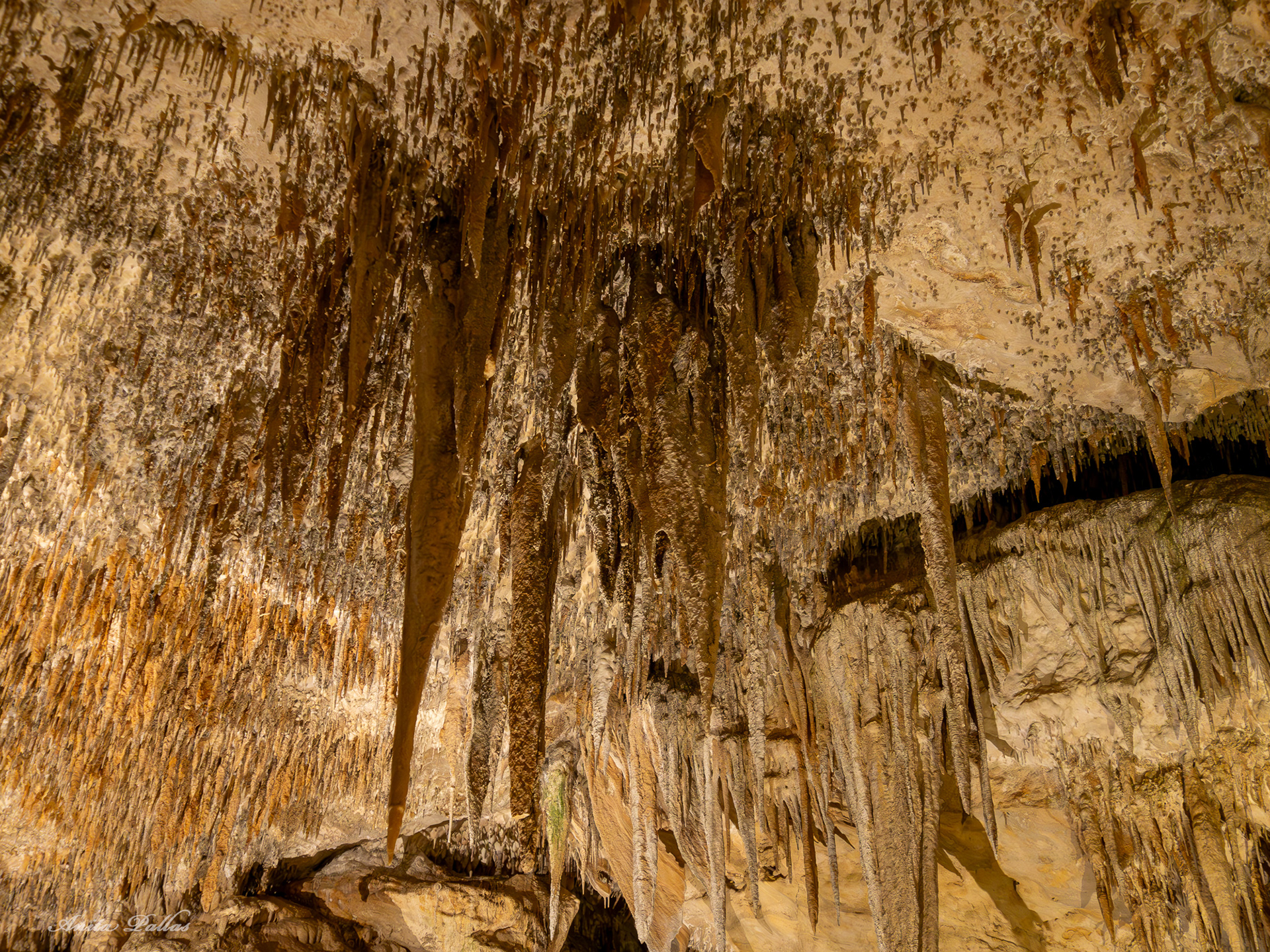 Mammoth Cave