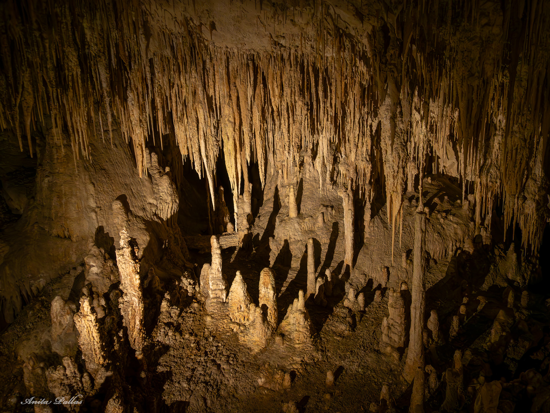 Mammoth Cave
