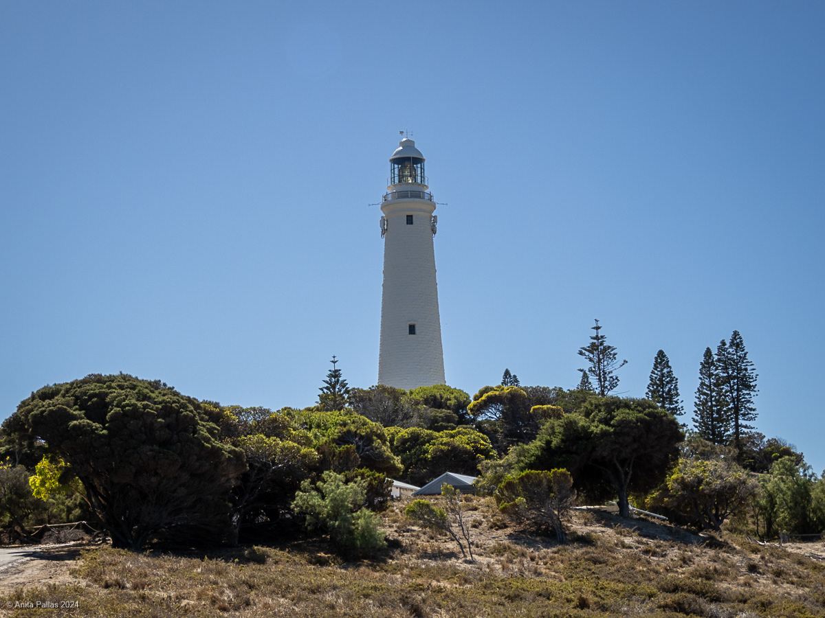 Rottnest Island