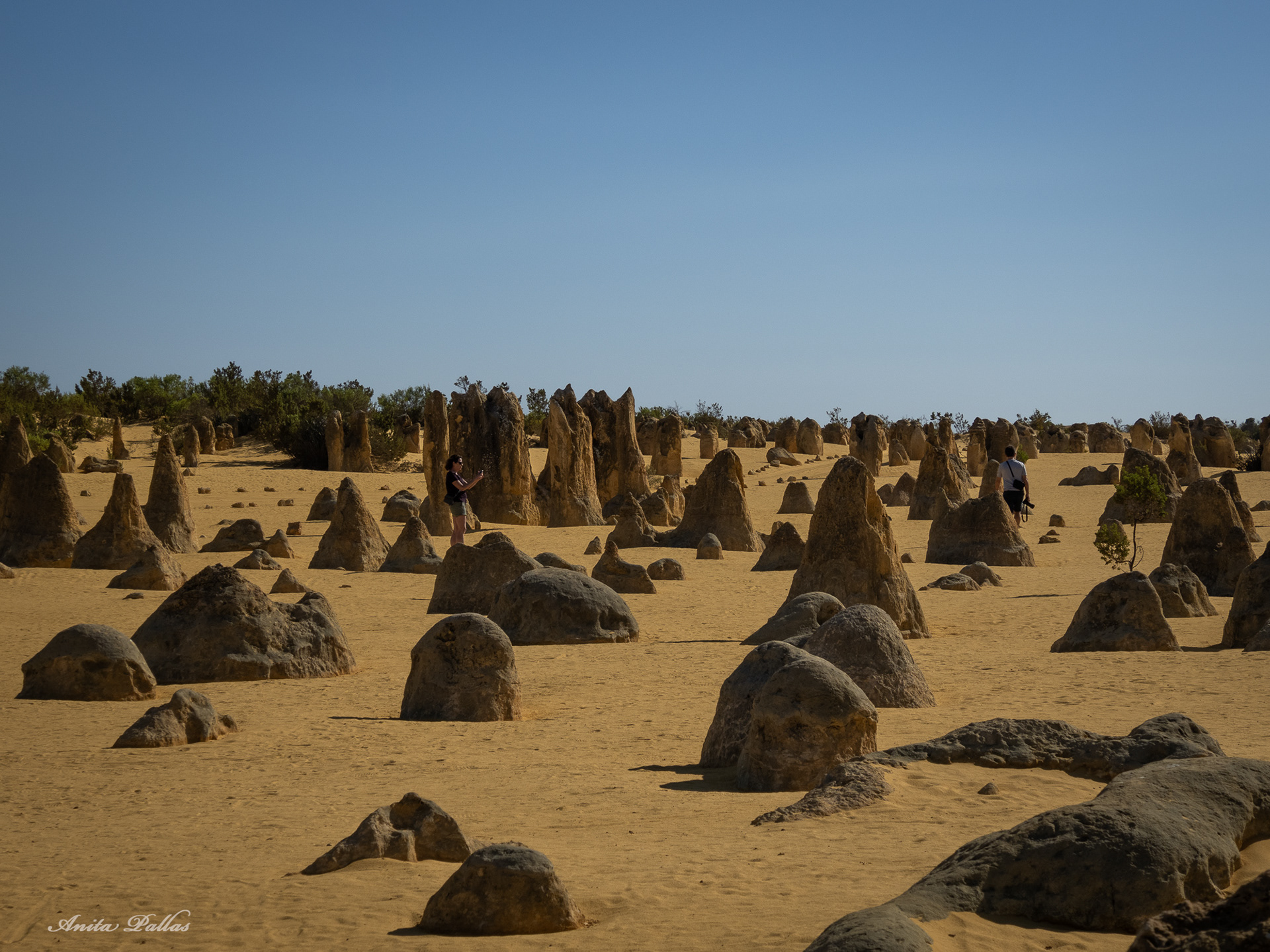 The Pinnacles