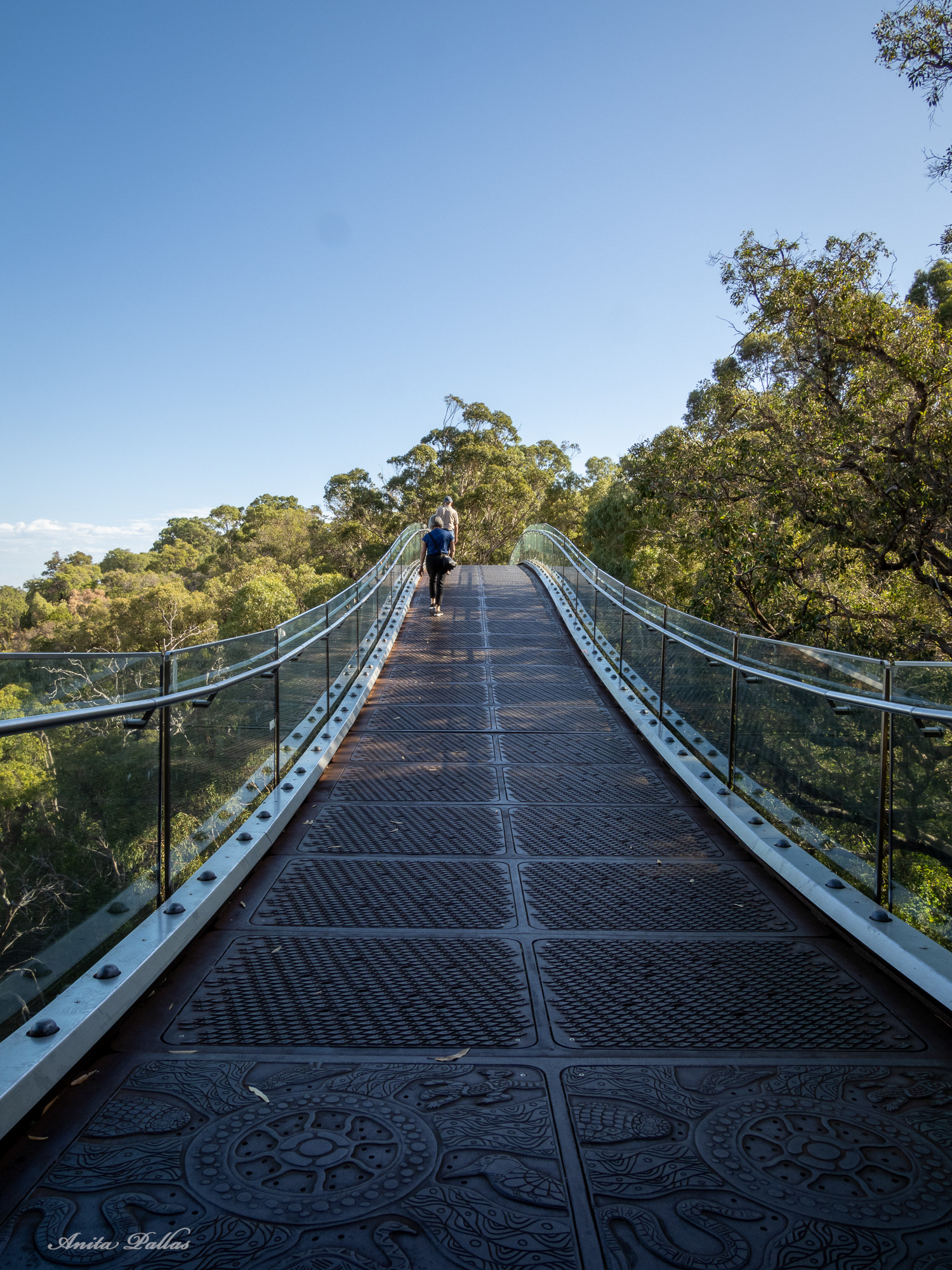 Perth - Kings Park & Botanic Gardens