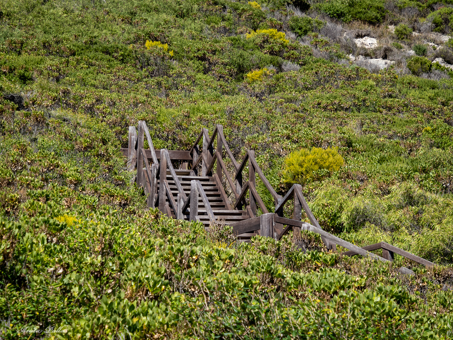 Conspicuous Cliffs