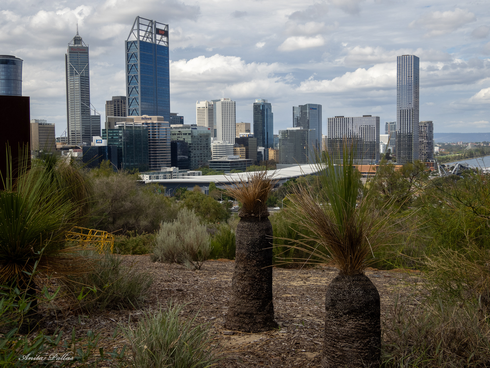 Perth - Kings Park & Botanic Gardens