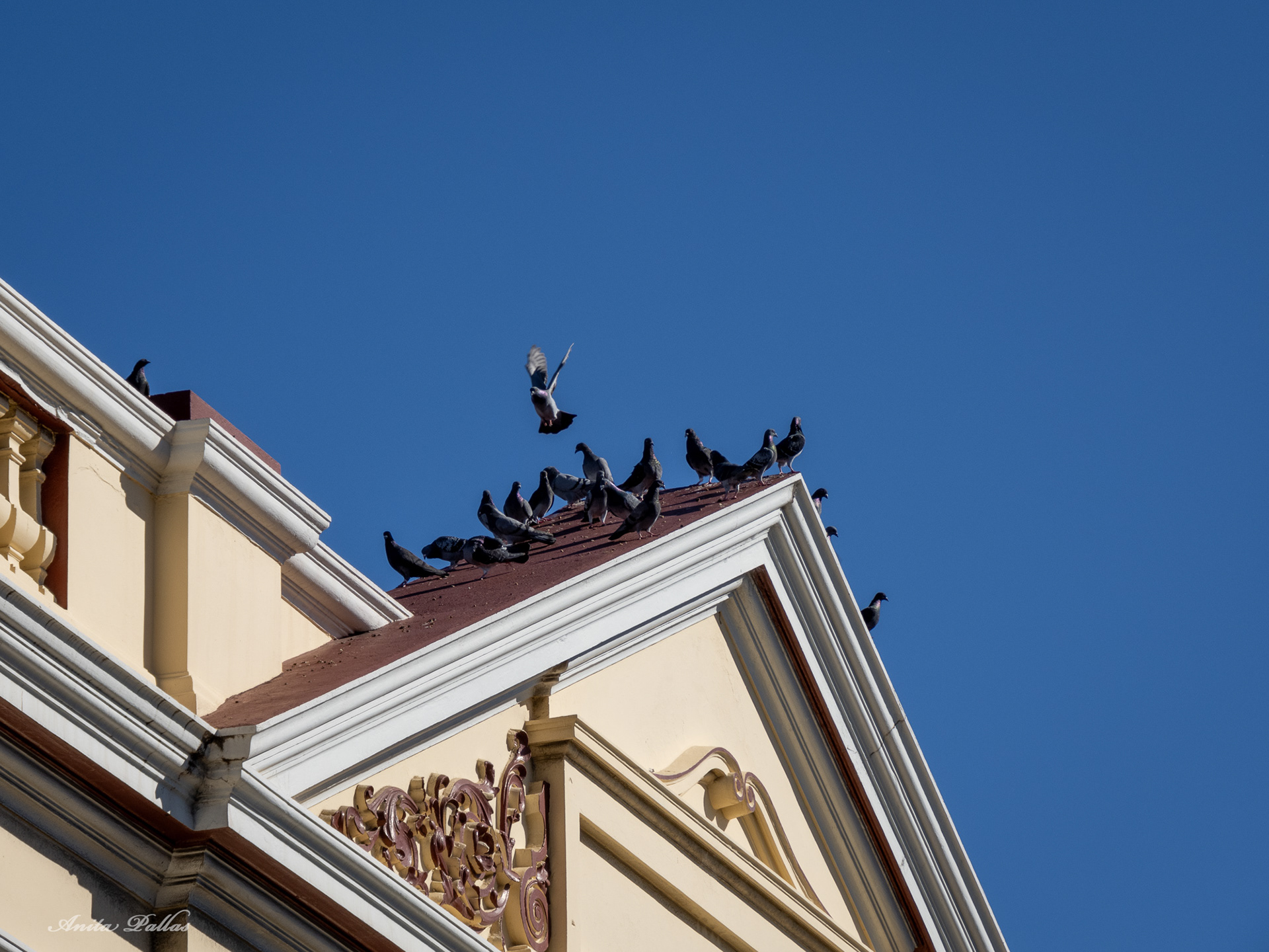 Fremantle