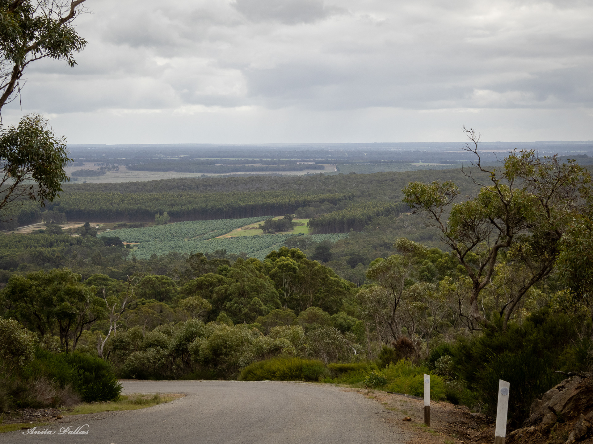 Mount Barker