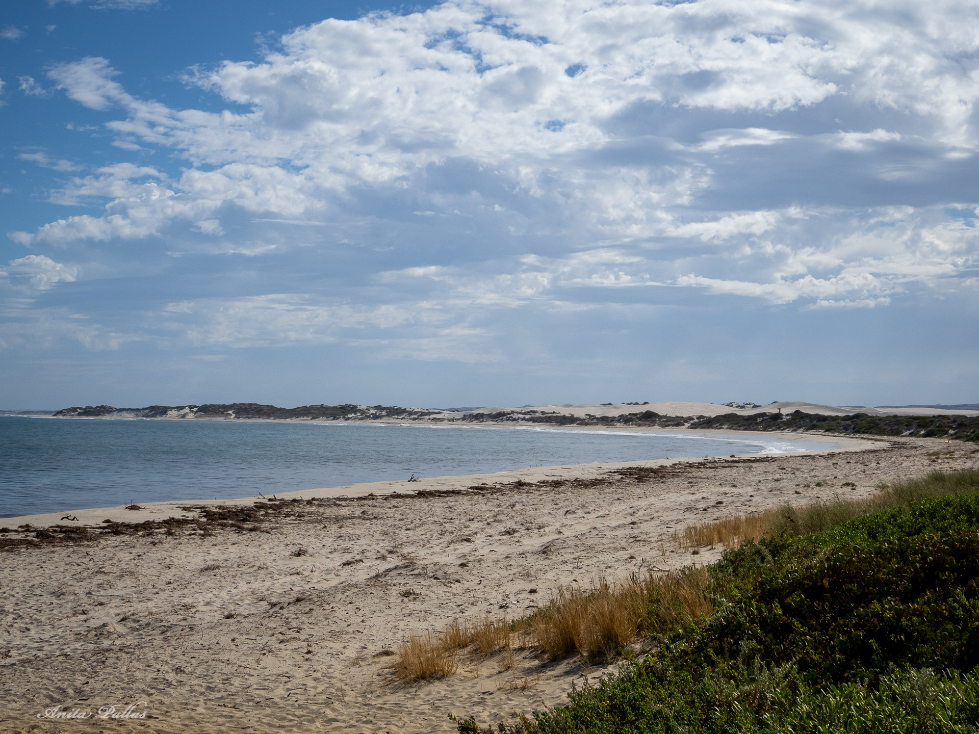 Lancelin