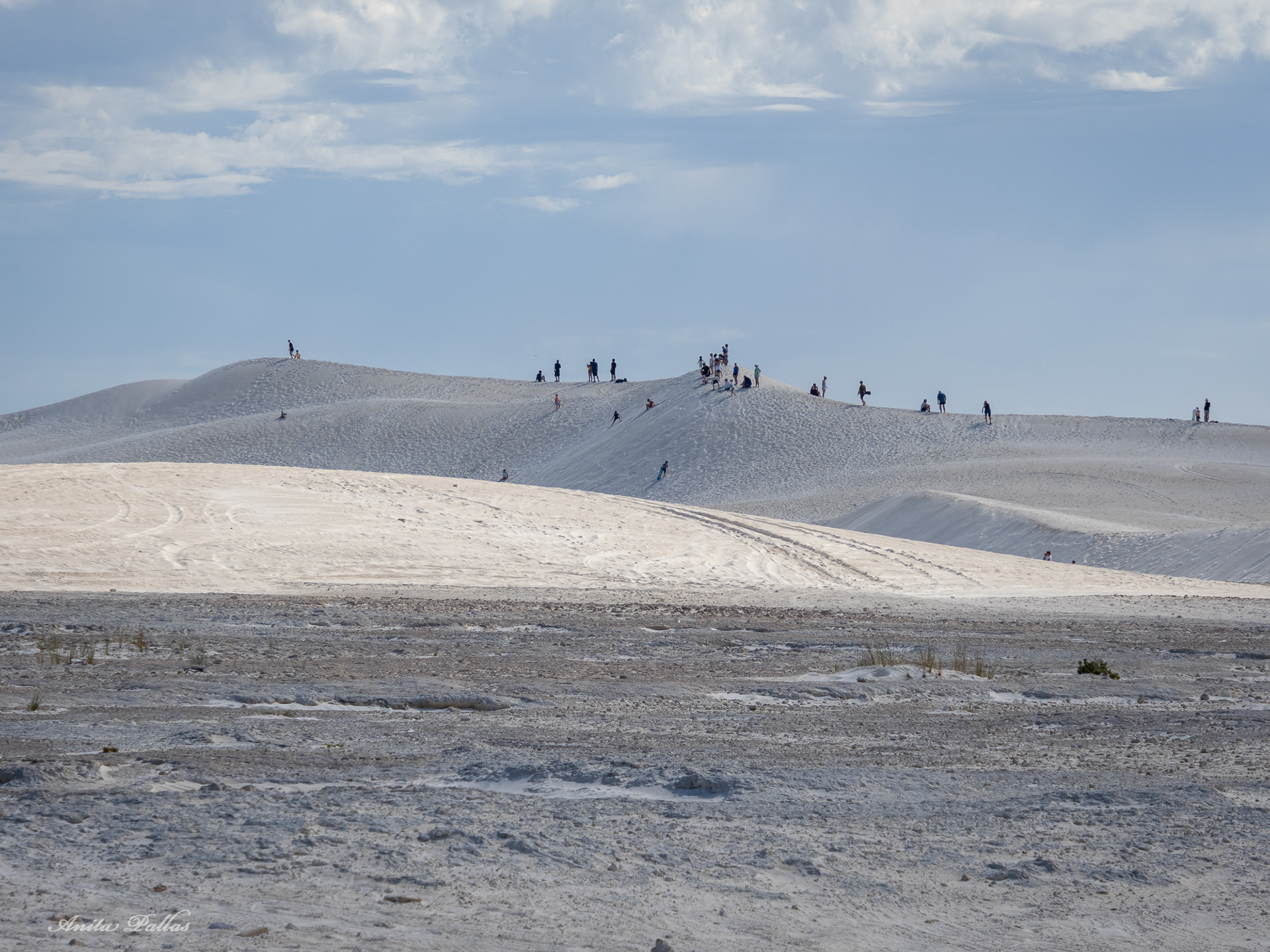 Lancelin Sand Dunes
