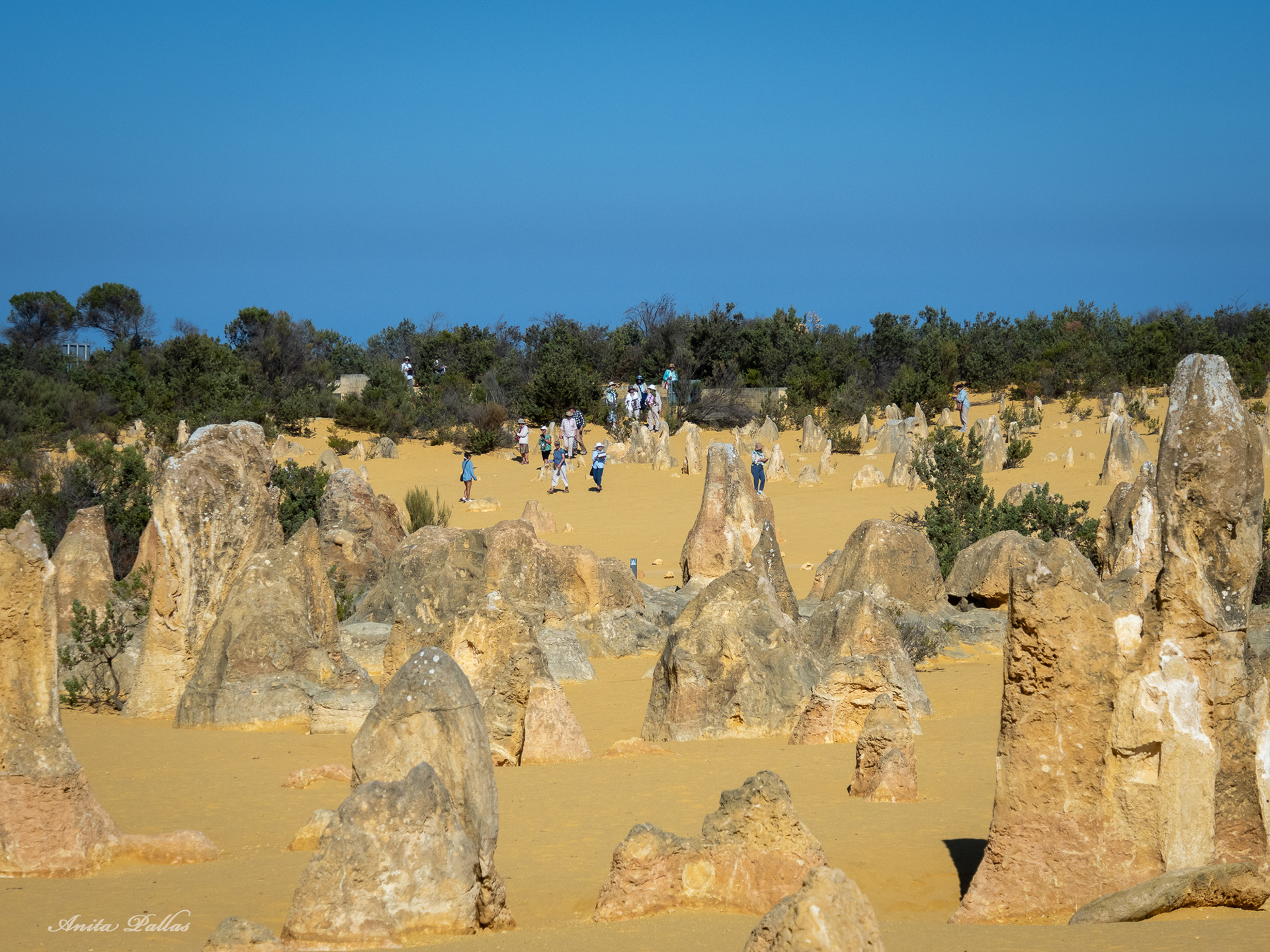 The Pinnacles