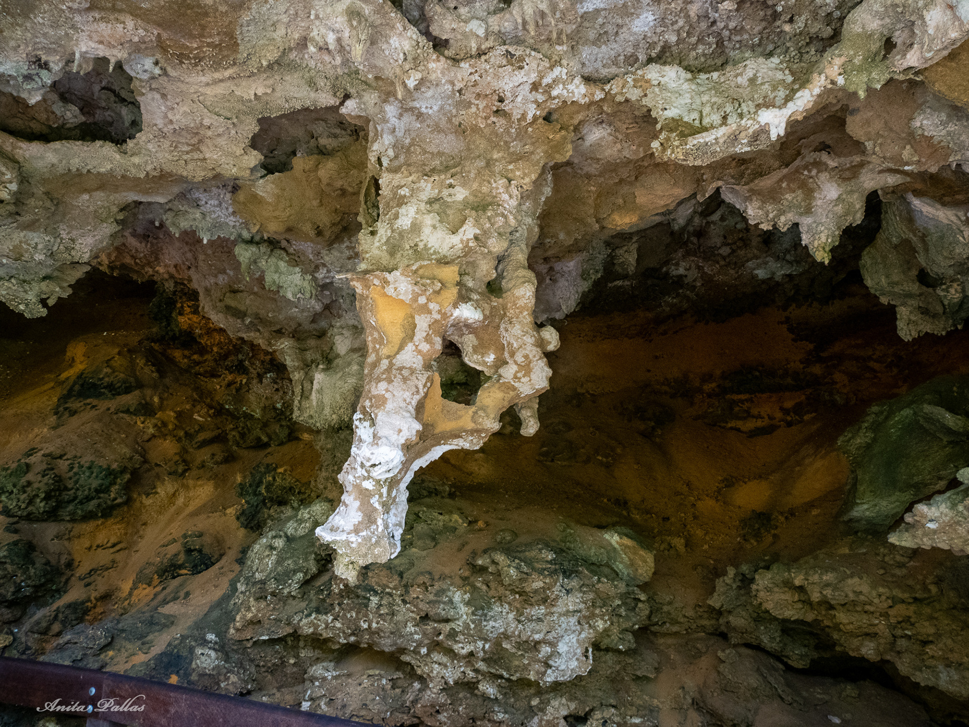 Mammoth Cave