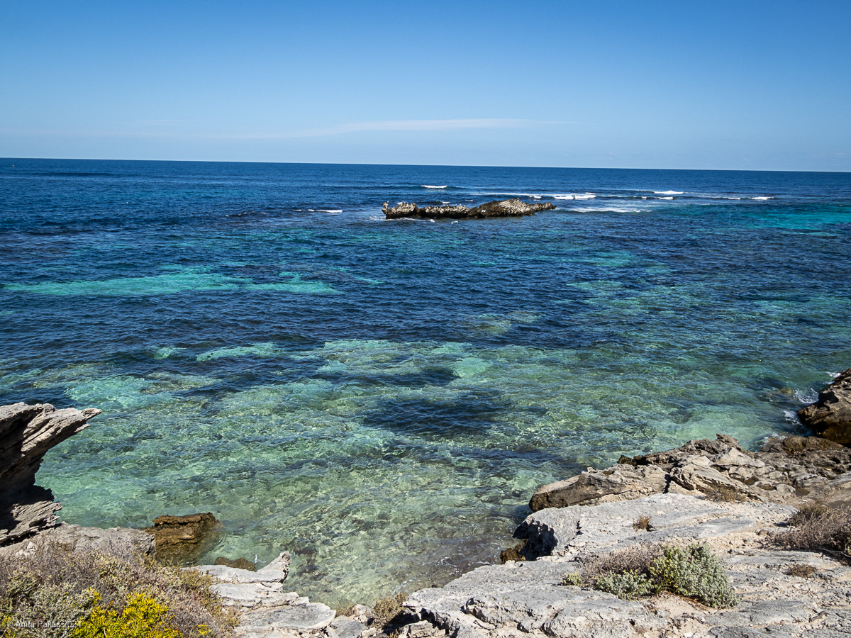 Rottnest Island