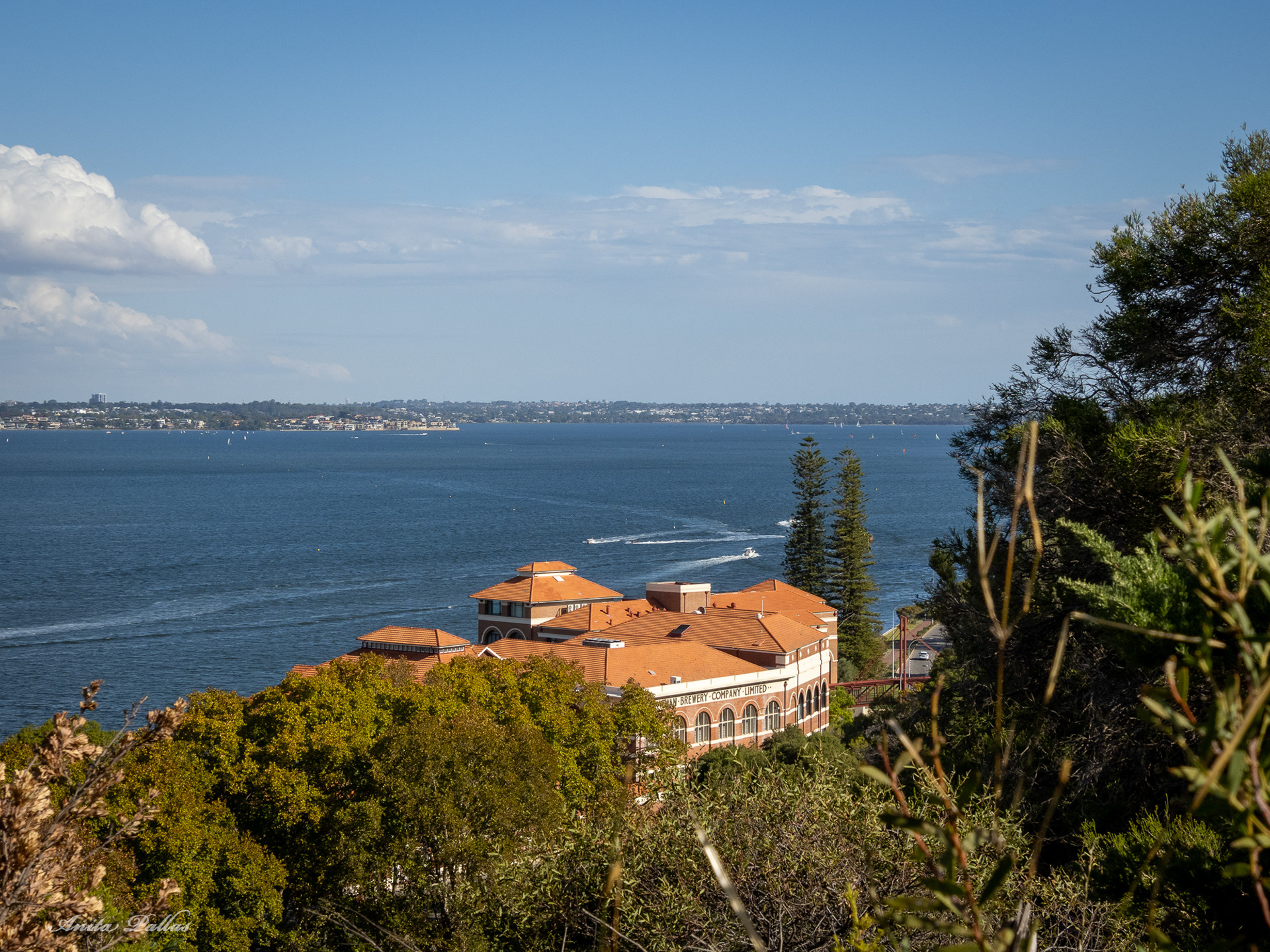 Perth - Kings Park & Botanic Gardens