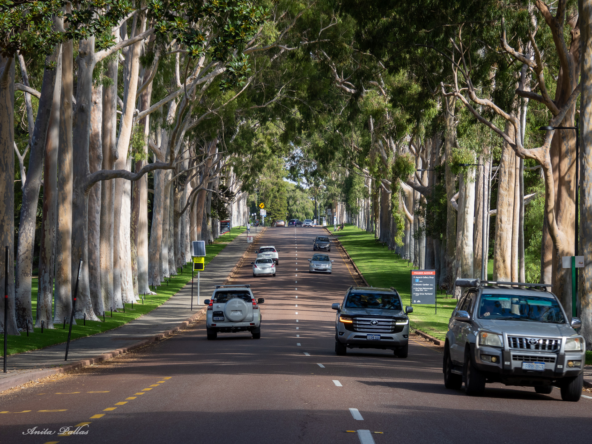 Perth - Kings Park & Botanic Gardens