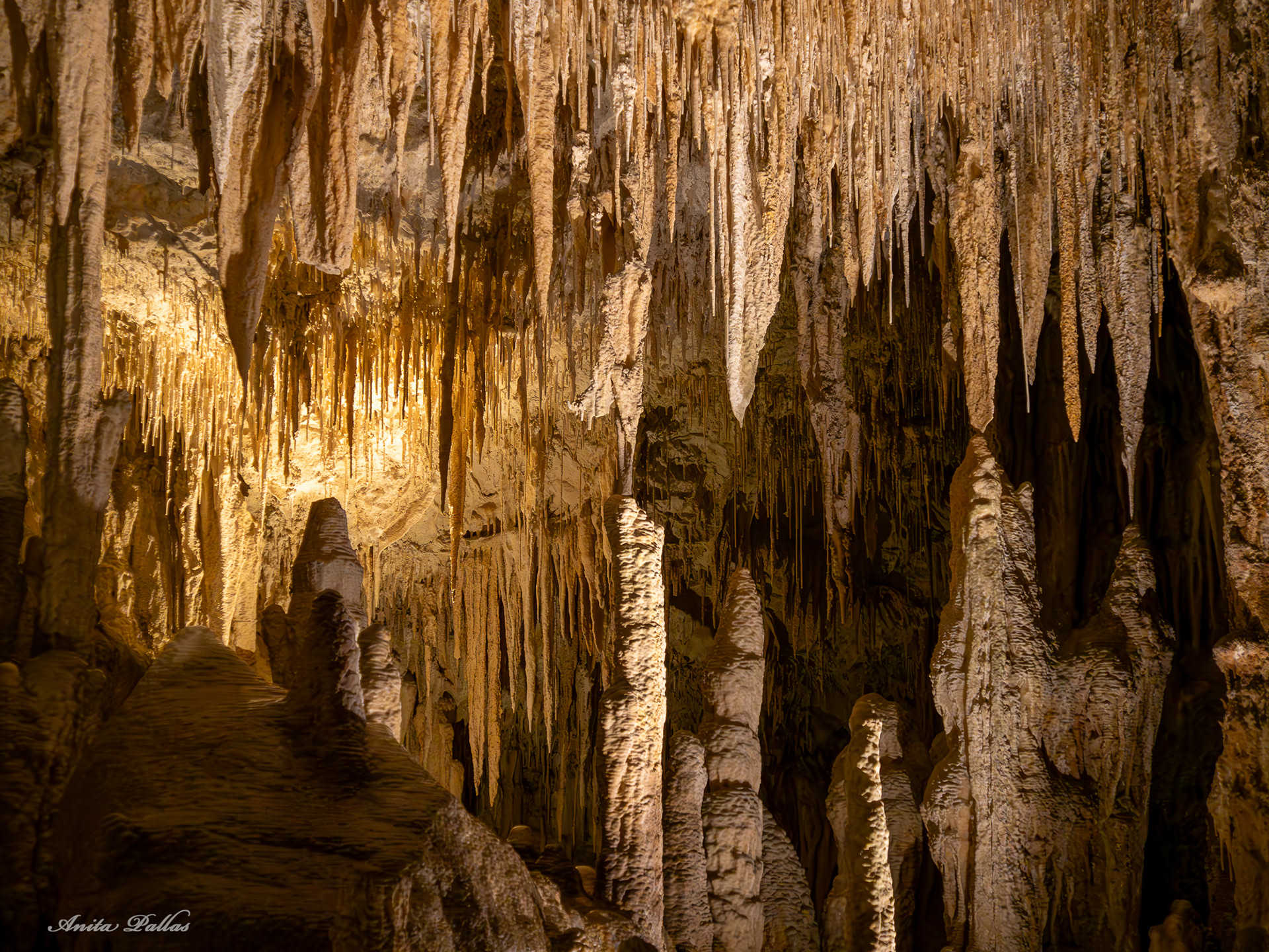 Mammoth Cave